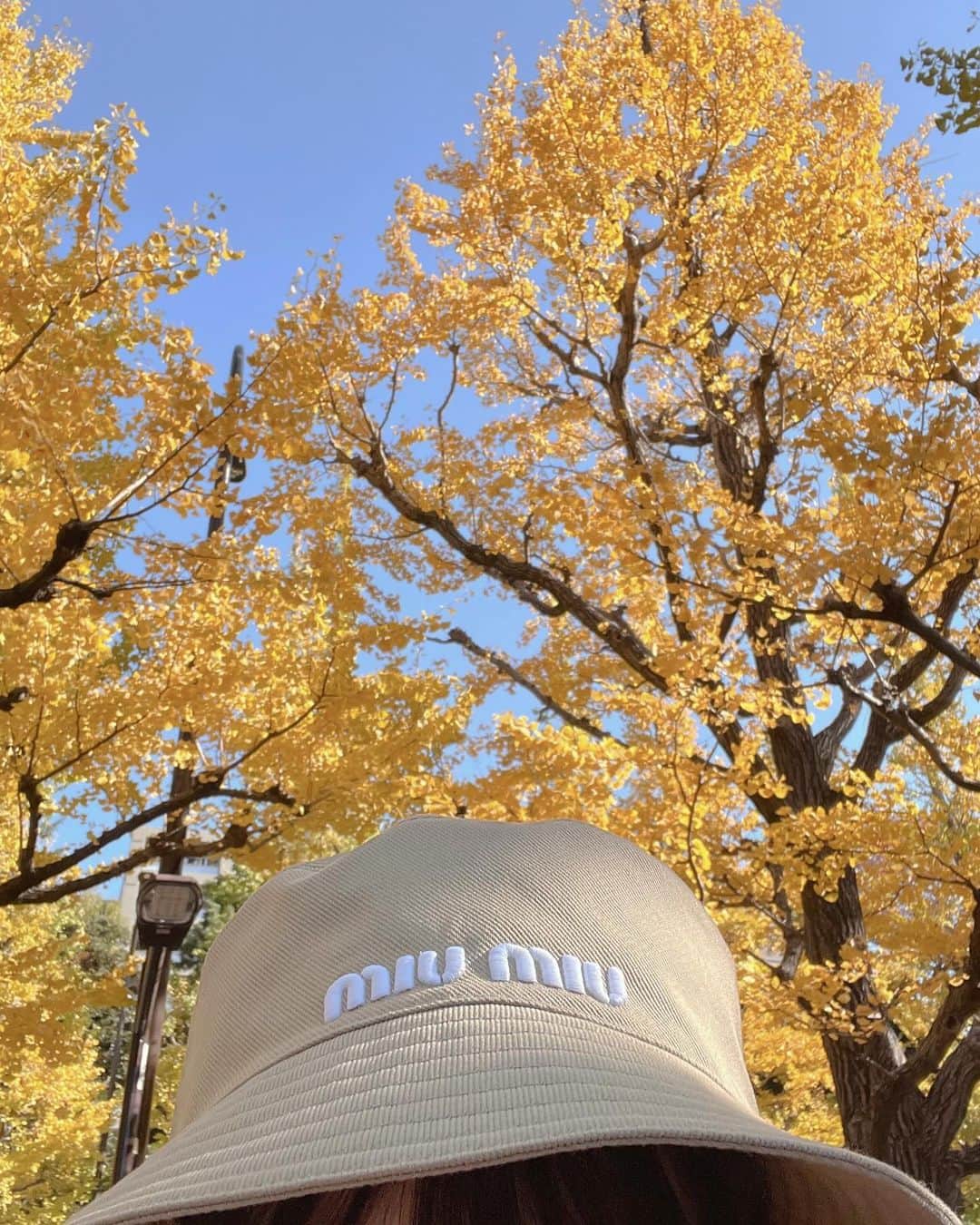 ayaさんのインスタグラム写真 - (ayaInstagram)「🌙🕯️🧈⛅️  銀杏並木の続き🎗️  今年のお誕生日の時に いつもお世話になってる方に プレゼントでいただいた MIUMIUのバケハ🥹🫶🏻🚡☽  サプライズだったので家に届いた時に 配送先間違えてしまったのかと 思うくらいにびっくりした😭🤍  銀杏並木行く時に絶対被ると 決めていて念願の( ◜◡◝ )🛵 かわいい〜！！  いただいた時にすぐ撮った 9〜10枚目も🌙  🤍 @harunaka   #starbucks  #外苑前 #神宮外苑 #神宮外苑いちょう並木 #外苑前いちょう並木 #外苑前銀杏並木 #外苑前カフェ #いちょう #いちょう並木 #銀杏 #イチョウ #イチョウ並木 #銀杏並木 #青山一丁目 #スタバ #スターバックス #miumiu #snidel #grl #maisonmargiela #ミュウミュウ #メゾンマルジェラ #マルジェラ #マルジェラバッグ #5AC #ニットワンピース #ムートン #スナイデル #グレイル」11月23日 19時21分 - xxayapink