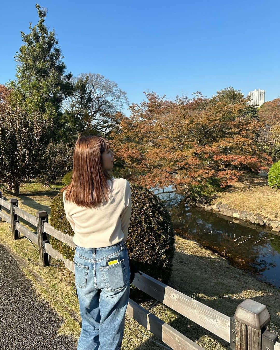 吉田莉桜のインスタグラム：「この日思ったより暖かくて上着要らなかった笑  木って素敵だよね、 紅葉も最高でした、🤤 もっと赤くなるんだろうな〜」