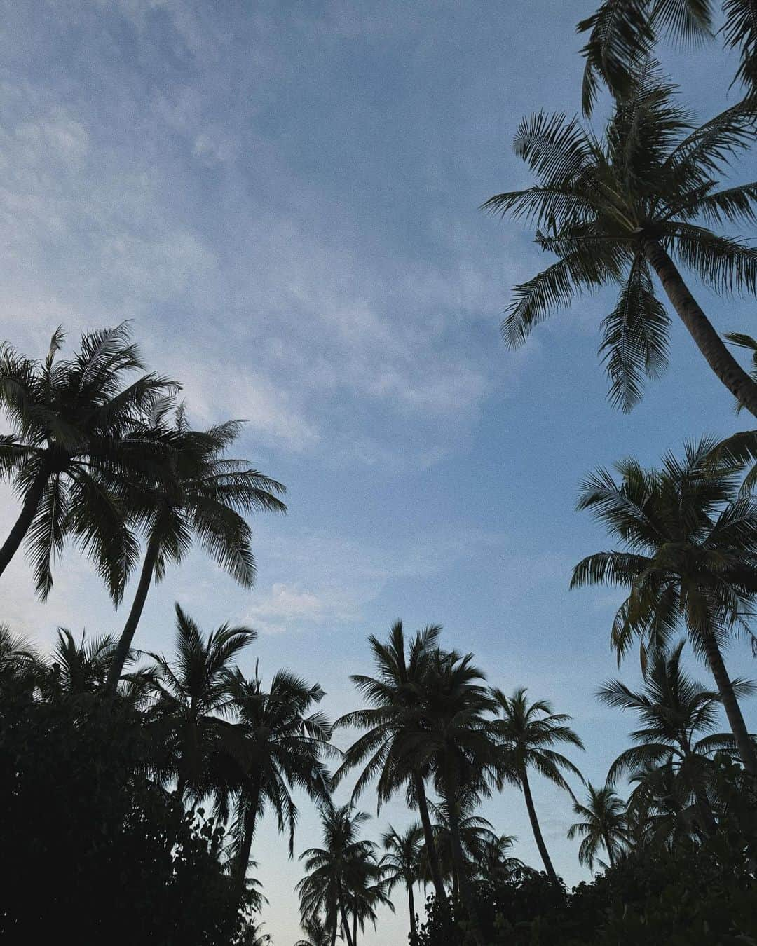 マルケタ・ボンドロウソバさんのインスタグラム写真 - (マルケタ・ボンドロウソバInstagram)「thank you @ritzcarltonmaldives for the amazing stay🥹🩵🐳🦈🌴🥥 we loved every second🫶🏻」11月23日 19時51分 - marketavondrousova