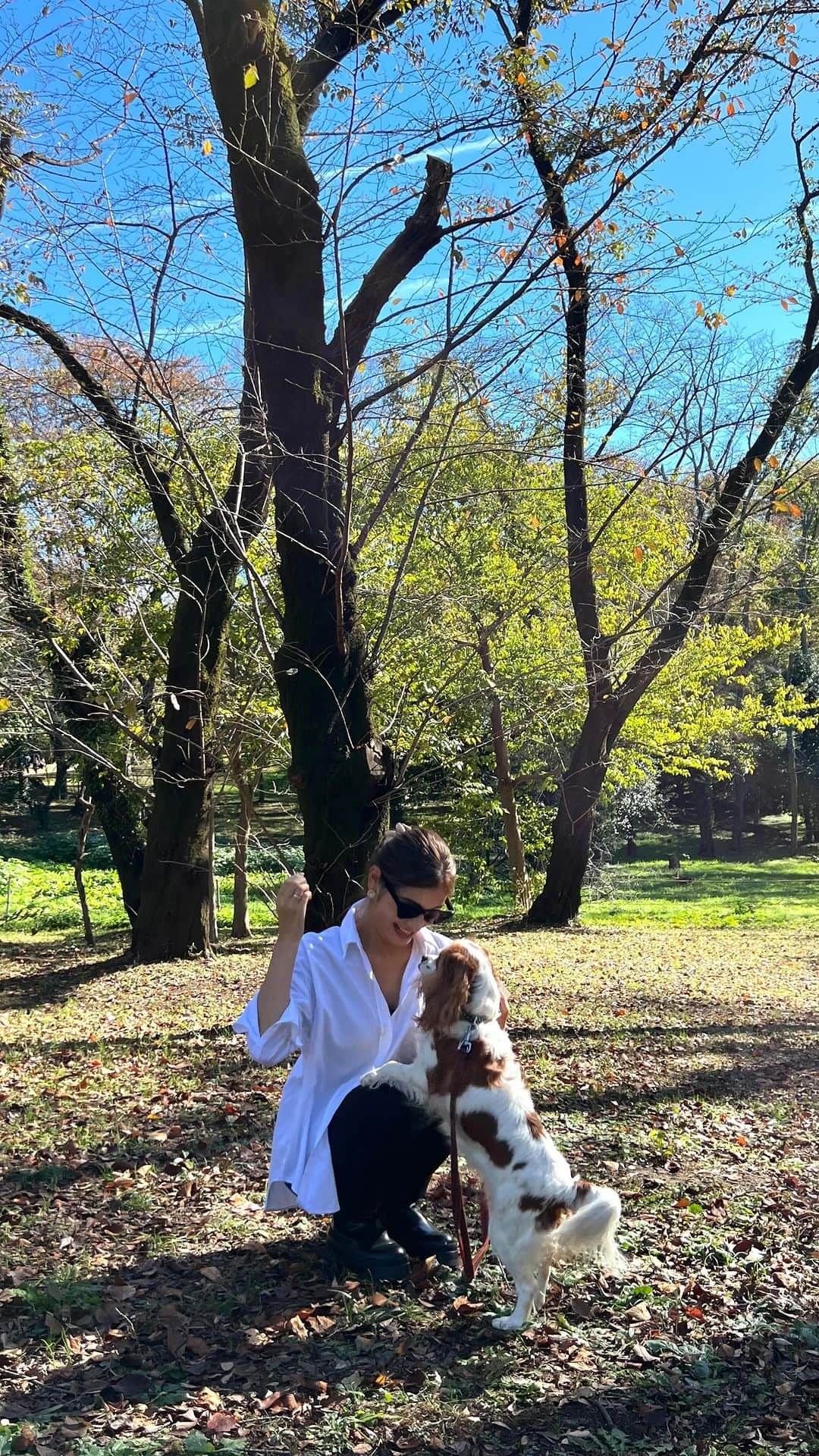 瀧澤あすみのインスタグラム：「🍂🐶🤎」