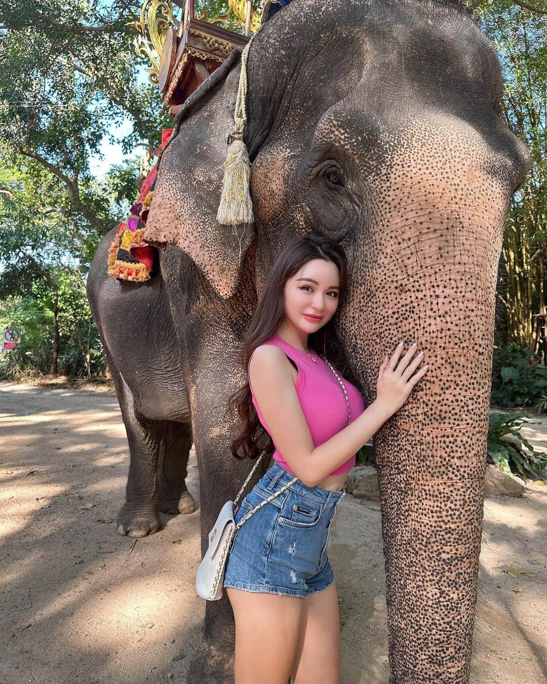 AMI（アミ）さんのインスタグラム写真 - (AMI（アミ）Instagram)「i love how elephants are so smart and sweet 🐘💓  象さん優しくて頭も良くて好き😍  #象 #象さん #パタヤ #パタヤ旅行 #象乗り #タイ #ハーフ #pattaya #pattayathailand #asiangirls #pattayatrip #elephantrides #🐘」11月23日 20時16分 - amyypatton