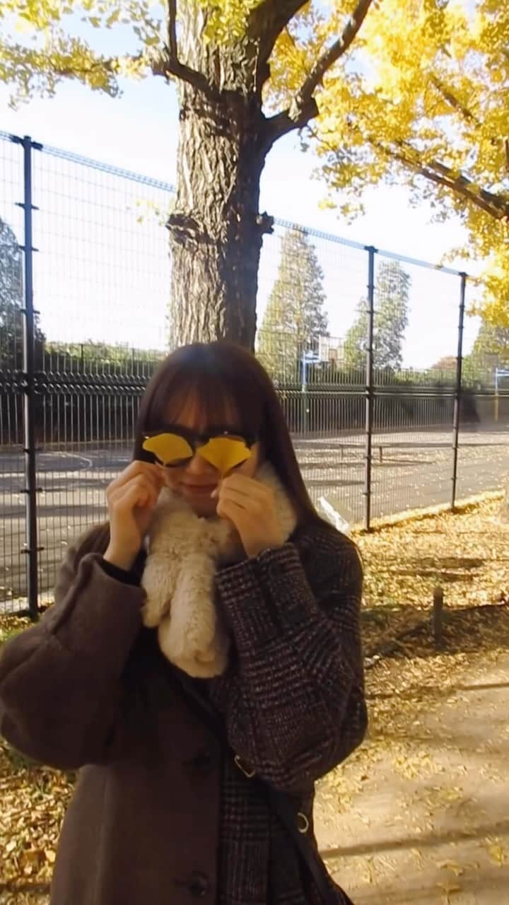 中山莉子のインスタグラム：「→ 秋だね~🍁  #japan#tokyo#昭和記念公園#紅葉#紅葉スポット#日本#東京 #銀杏#銀杏並木」