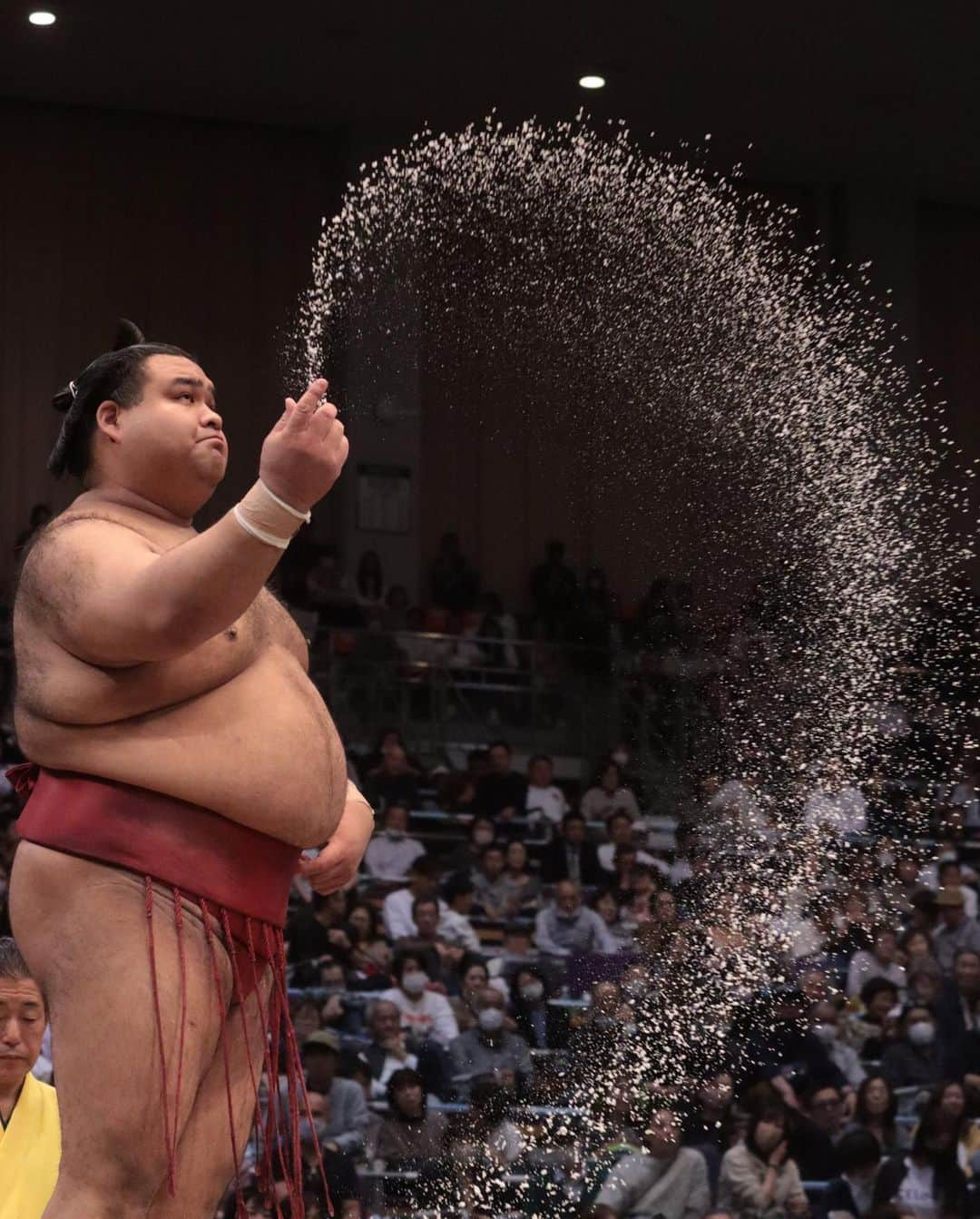 日本相撲協会さんのインスタグラム写真 - (日本相撲協会Instagram)「大相撲九州場所12日目！ 残すところ、あと3日！ 霧島と熱海富士がトップに並んだ。  2敗　#霧島　#熱海富士 3敗　#琴ノ若　#一山本  @sumokyokai  #大相撲 #sumo #相撲 #力士 #お相撲さん #japanphoto #sumowrestlers #japanculture  #九州場所 #11月場所 #十一月場所　#福岡国際センター　#貴景勝　#大栄翔　#豪ノ山　#髙安　#平戸海　#玉鷲」11月23日 20時29分 - sumokyokai