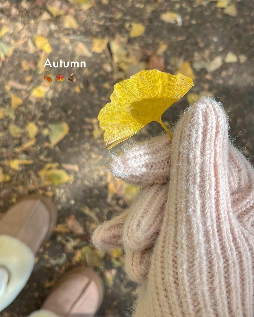 RIEさんのインスタグラム写真 - (RIEInstagram)「【 外苑前 / いちょう並木 】 ⁡ 明治神宮外苑いちょう並木へ🍁🍂 毎年11月になるとここに来てるので はやくも1年の終わりを感じる〜📆 ⁡ 今年は例年よりも色づきが遅めみたい⌛️ 夜にはライトアップも開催されるみたいで 今週末、来週のおでかけにおすすめ🌳 ⁡ 今年初のコートデビューは @pierrot_shop のメルトンPコート🧥 ⁡ お手頃価格なのに風を通さずしっかりしてて 身長162cmの私はゆるっと着たかったので Lサイズを着用して丈感もちょうどいい🫶🏼 ⁡ 来週11/27(月)16:59まで pierrotの公式サイトでブラックフライデー実施中🎖️ スペシャルプライスで購入できるそうなので 今年のコートをまだ購入していない方は必見です🛒 ⁡ ⁡ ⁡ ⁡ ⁡ #PR #pierrot #ootd #autumnfashion #autumnvibes #wintercoat #ginkgo #ginkgotree #ピエロ #コート #コートコーデ #Pコート #冬コーデ #銀杏並木 #いちょう並木 #イチョウ並木 #明治神宮外苑いちょう並木 #外苑前いちょう並木 #紅葉スポット #紅葉フォト #おでかけスポット #きょコ #写真の撮り方」11月23日 20時36分 - rie_tabi