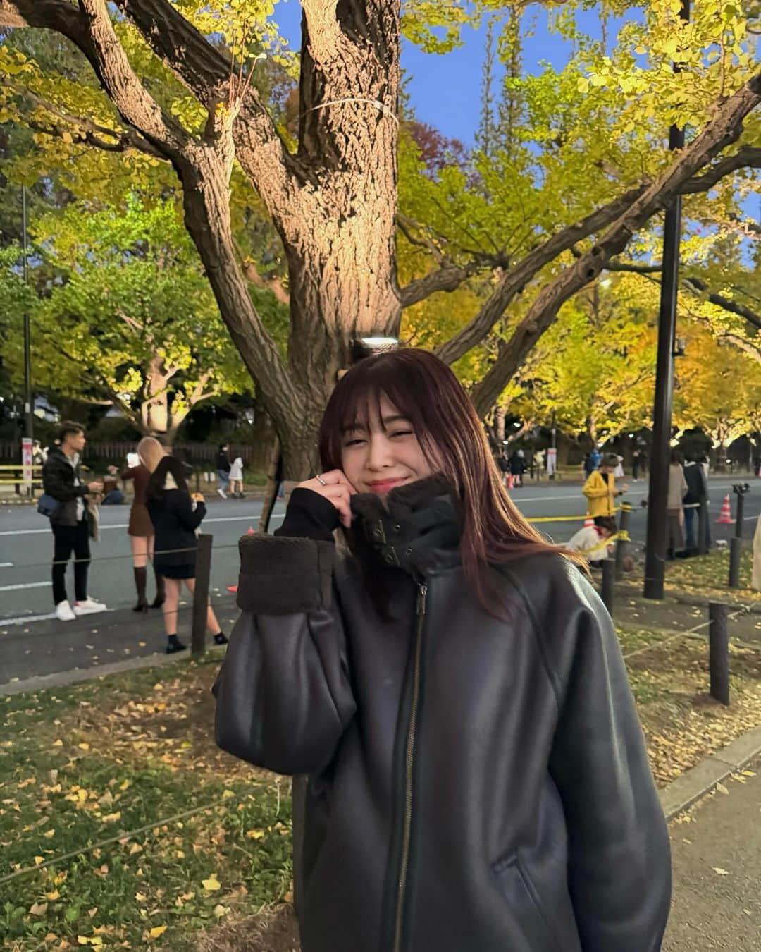 佐久間采那さんのインスタグラム写真 - (佐久間采那Instagram)「．  💛  #イチョウ並木 #外苑前いちょう並木 #いちょう並木 #銀杏並木 #外苑前銀杏並木 #いちょうの木 #紅葉スポット #紅葉シーズン #銀杏の木 #きみまろ #ムートンジャケット」11月23日 20時49分 - sakuma_ayana