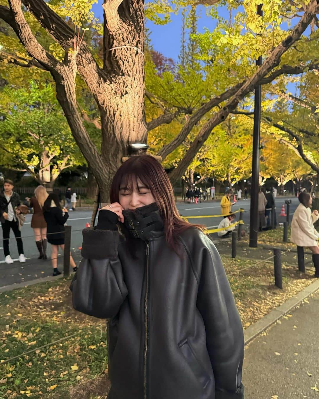 佐久間采那さんのインスタグラム写真 - (佐久間采那Instagram)「．  💛  #イチョウ並木 #外苑前いちょう並木 #いちょう並木 #銀杏並木 #外苑前銀杏並木 #いちょうの木 #紅葉スポット #紅葉シーズン #銀杏の木 #きみまろ #ムートンジャケット」11月23日 20時49分 - sakuma_ayana