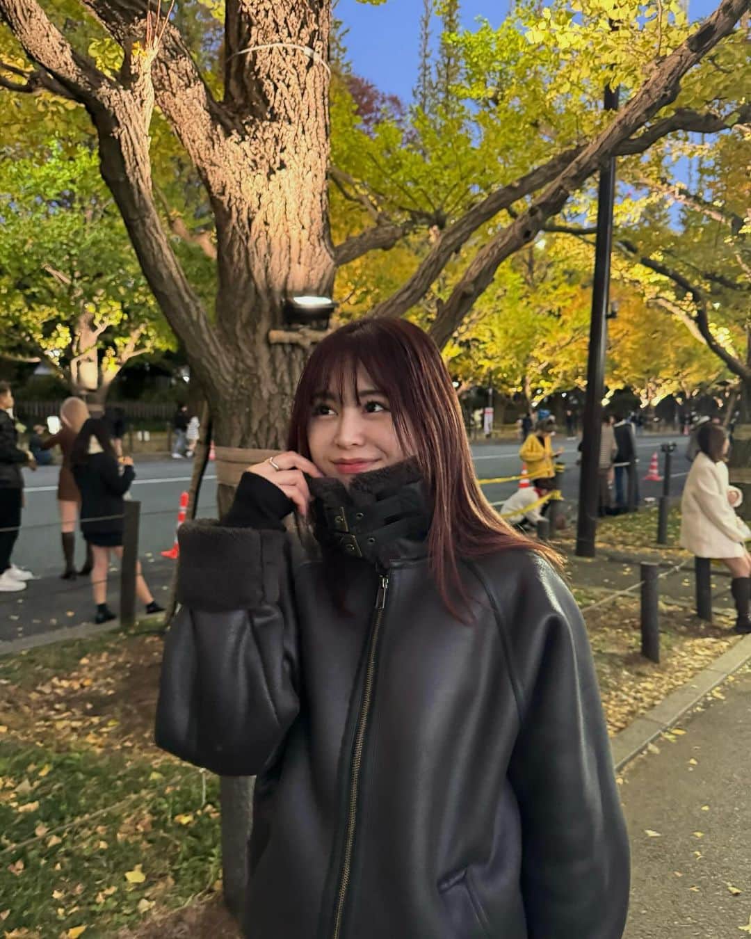 佐久間采那さんのインスタグラム写真 - (佐久間采那Instagram)「．  💛  #イチョウ並木 #外苑前いちょう並木 #いちょう並木 #銀杏並木 #外苑前銀杏並木 #いちょうの木 #紅葉スポット #紅葉シーズン #銀杏の木 #きみまろ #ムートンジャケット」11月23日 20時49分 - sakuma_ayana