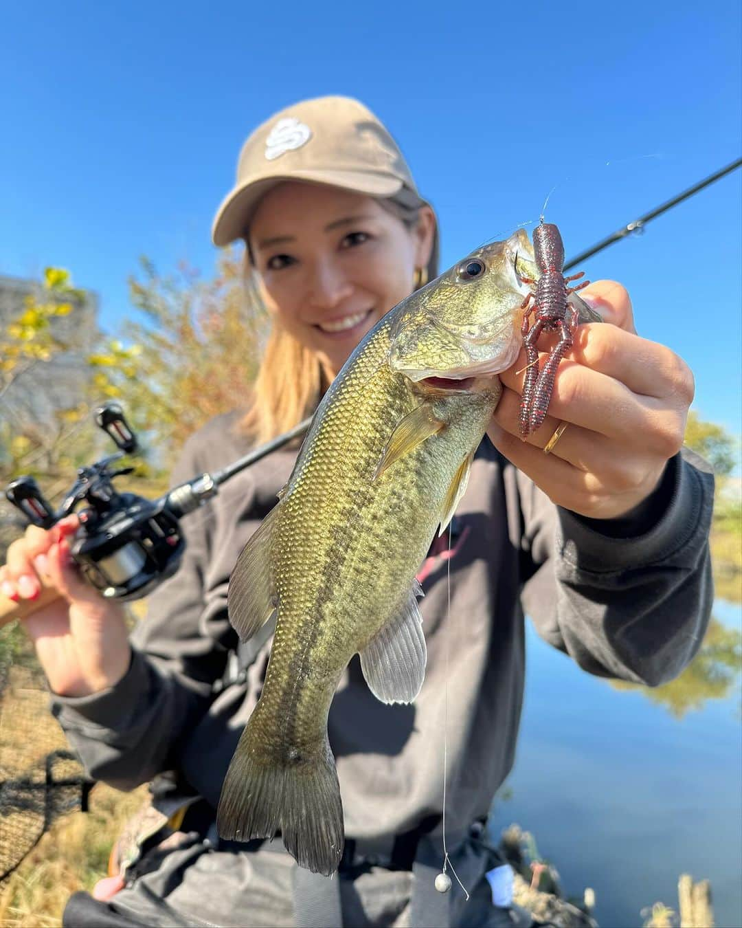 疋田星奈さんのインスタグラム写真 - (疋田星奈Instagram)「in大江川  メインはボトルシュリンプ🦐 のDS1.3g  リーダー20cmくらい フックはZAPPUのリジットフィネス#1 夕方はシャッドで🫶  今回はショア側の立木が活躍✨️ ギリッギリを丁寧にゆっくり攻めたら数はとれた🐟  おすずと1日釣りしたけど ホントにツッコミどころ満載すぎて 終日面白かった🤣 私たちにしては天気良すぎて 拍子抜け笑 また動画UPします💗  #大江川 #大江川バス釣り  #釣り #釣り女子 #バス釣り #megabass #zappu」11月23日 20時58分 - seina.91