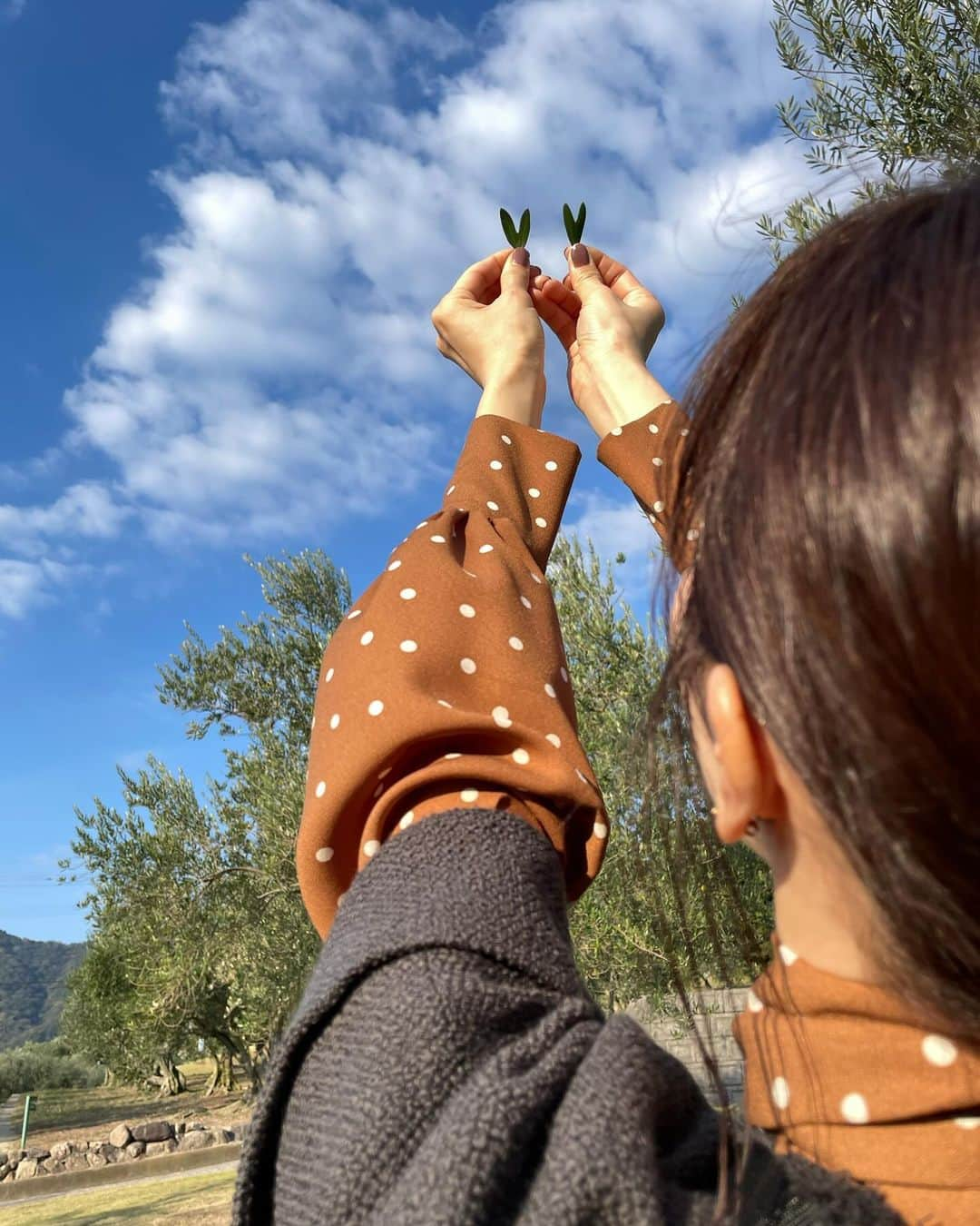 真飛聖さんのインスタグラム写真 - (真飛聖Instagram)「『美しい日本に出会う旅』  昨夜、放送だった番組 ご覧いただいた方、ありがとうございました📺  楽しかった小豆島の旅の思い出写真です✨ 私も見させていただきましたが 大騒ぎでしたね・・・あたし💦  そして、ナレーションの瀬戸康史くんが めちゃくちゃ面白くて、何度も吹き出しましたわ（笑）  とっても素敵な場所『小豆島』 旅が出来て、本当に嬉しかったです♡ しかも、『幸せのオリーブの葉🫒』ゲットですよ！！！ 自分でもほんとびっくりしました！！！ 今も大切に持ってますよ〜✨  ということで ご覧になった方も、まだご覧になれていない方も、 TVerにて見逃し配信中ですのでね、 ぜひぜひご覧くださいませ〜♡  さぁ次は いよいよ瀬戸康史くんと何処にいこうかなぁ〜ふふふ 撮影に協力していただいた皆さん 本当に ありがとうございました♡  @utsukushii_bstbs  #BSTBS #美しい日本に出会う旅 #衣装タグ付けは昨日の投稿に載ってるよ #カバンは私物です @zattu_official」11月23日 20時59分 - sei_matobu