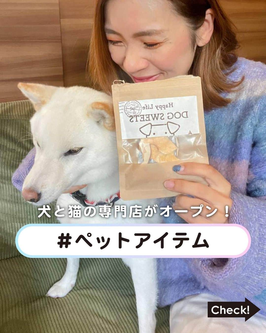 ［.st］ / ドットエスティさんのインスタグラム写真 - (［.st］ / ドットエスティInstagram)「【NEWS】犬と猫のための専門店 P2 DOG & CAT がOPEN ✨  ワンちゃんやネコちゃんとの暮らしをもっと楽しく、もっと豊かに！ 日常のお手入れや食事のこと、幅広いアイテムをセレクト。  ※ドットエスティポイントも貯まる＆使えます🤭  【犬猫用】P2 ファーカラー Mサイズ 🔎995135  【猫用】P2 シャカシャカキャットトンネル ベージュ 🔎994979  ファーキャリー バッグ 🔎995118  【CAT】 カニかま スライス 25g 🔎102138  【犬用】猫壱 ハッピーダイニング 🔎995051  【犬猫用】マシュマロラウンドベッド 🔎995116  ｰ ｰ ｰ ｰ ｰ ｰ ｰ ｰ ｰ ｰ ｰ ｰ ｰ ｰ ｰ ｰ ｰ ｰ ｰ ｰ ｰ ｰ ｰ ｰ ｰ ｰ ｰ ｰ ｰ  【ドットエスティ( @dotst_official )】 LOWRYS FARM, GLOBAL WORK, niko and ..., studio CLIPなど、30ブランドが集結したWEBストア  ▶︎5,000円以上で送料無料 ▶︎予約アイテムはポイント2倍  ドットエスティのセール情報やキャンペーンのお知らせはInstagramストーリーズからチェック！  ｰ ｰ ｰ ｰ ｰ ｰ ｰ ｰ ｰ ｰ ｰ ｰ ｰ ｰ ｰ ｰ ｰ ｰ ｰ ｰ ｰ ｰ ｰ ｰ ｰ ｰ ｰ ｰ ｰ ｰ #ペット用品 #ペットグッズ #愛犬グッズ #ペットグッズショップ #犬グッズ #猫グッズ #猫用品 #にゃんグッズ  #ねこグッズ #ペット用品店 #犬服 ＃おしゃれ犬服 #おしゃれ犬 #犬とおでかけ #犬のいる暮らし  #ドットエスティ」11月23日 21時18分 - dotst_official