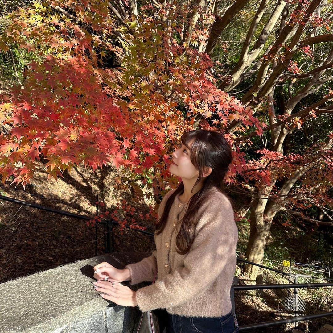 咲奈さんのインスタグラム写真 - (咲奈Instagram)「ハーブ園に行ったときに撮った写真いいのありすぎて載せきれん🥺  瑛士が腕のいいカメラマンすぎて、デートの後に見返す写真がいつも良すぎてにやける。。😙  ハーブ園素敵やったな〜🪻♡」11月23日 21時18分 - sachan_81