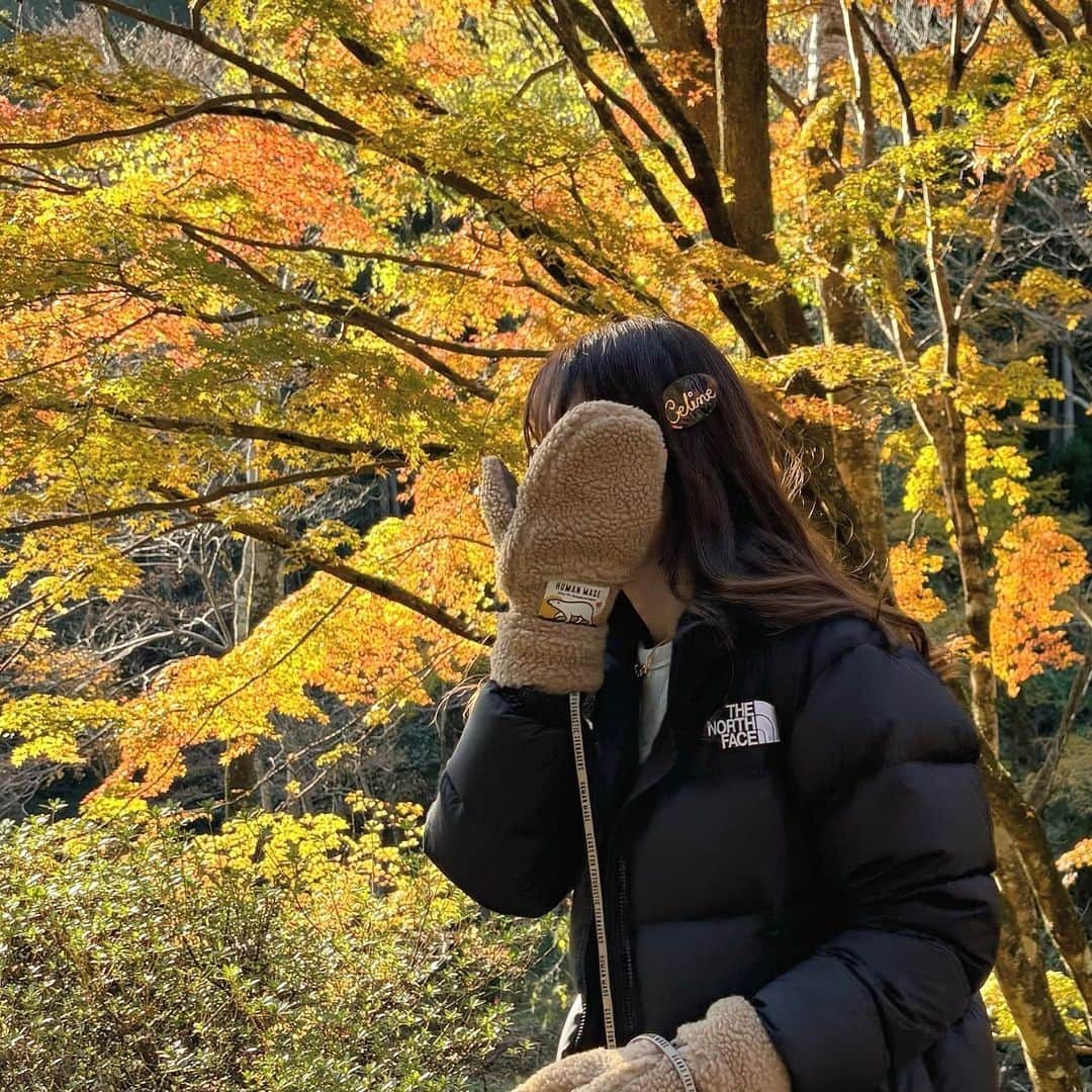 Maiのインスタグラム：「・ 先週の📷  紅葉ギリギリセーフだった🍁でもほぼ散ってたけど🫠  #thenorthface #thenorthfacenuptse #ノースフェイス #ヌプシ #celine #celinebyhedislimane #humanmade」