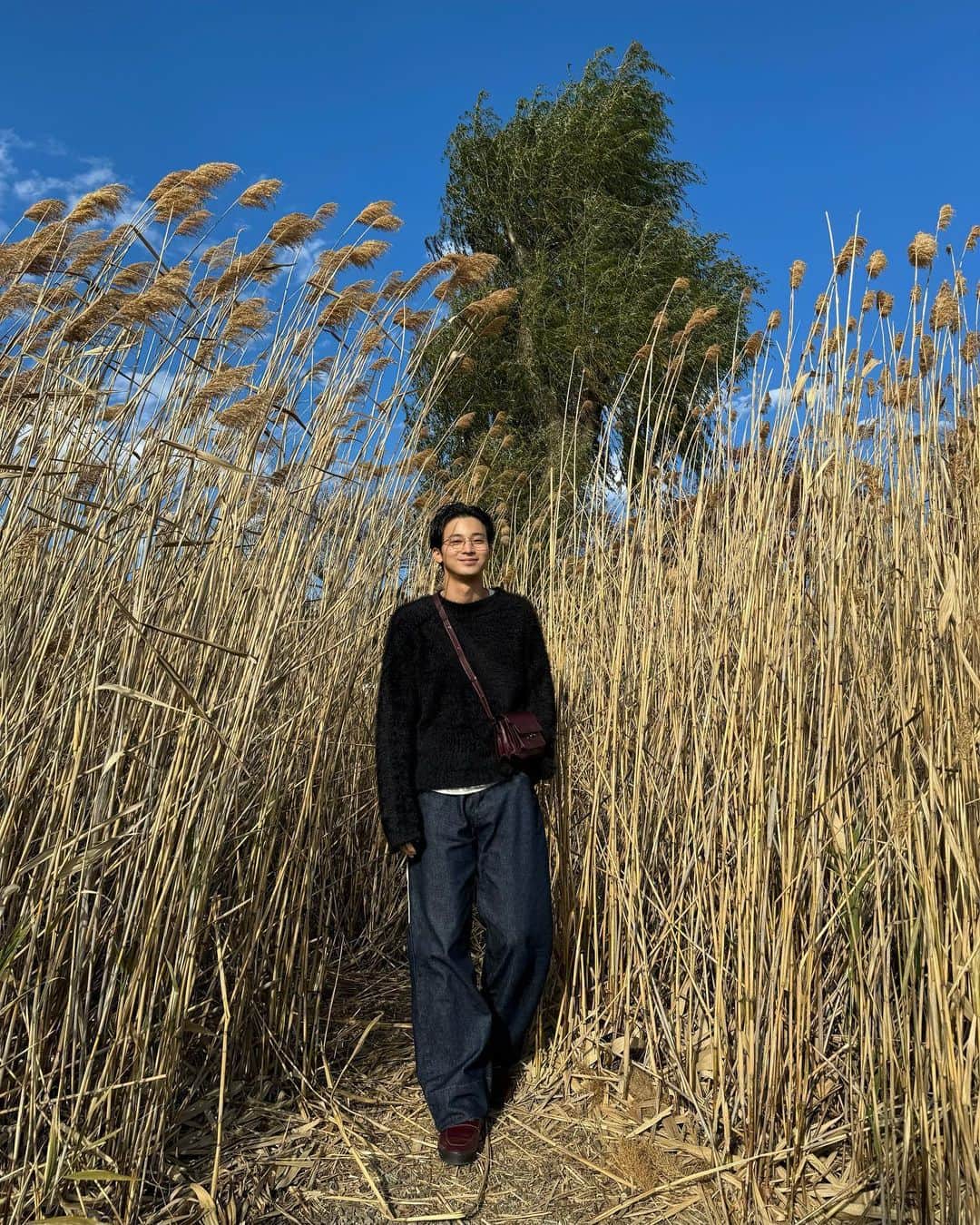 高崎凌のインスタグラム：「ススキとマウント富士🌾🗻」