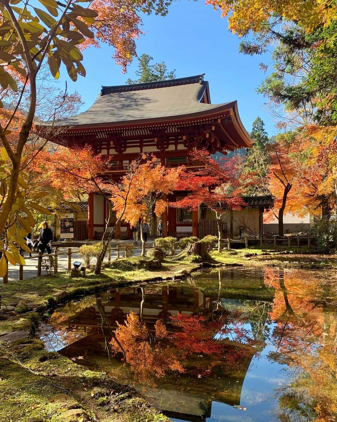 ree_mstorynさんのインスタグラム写真 - (ree_mstorynInstagram)「🍁 めちゃくちゃ きれいだった 初めて訪れた 室生寺 女人禁制だった高野山に対して 女性の参詣が許されていたことから 『女人高野』と呼ばれるそうです  🍁投稿に しばらくお付き合いください♡  #murouji_temple #nara #temple #uda #紅葉 #もみじ #もみじ🍁 #室生寺 #室生寺五重塔 #女人高野 #女人高野室生寺 #おとなの遠足 #秋の風景 #秋だね」11月23日 21時36分 - ree_mstoryn