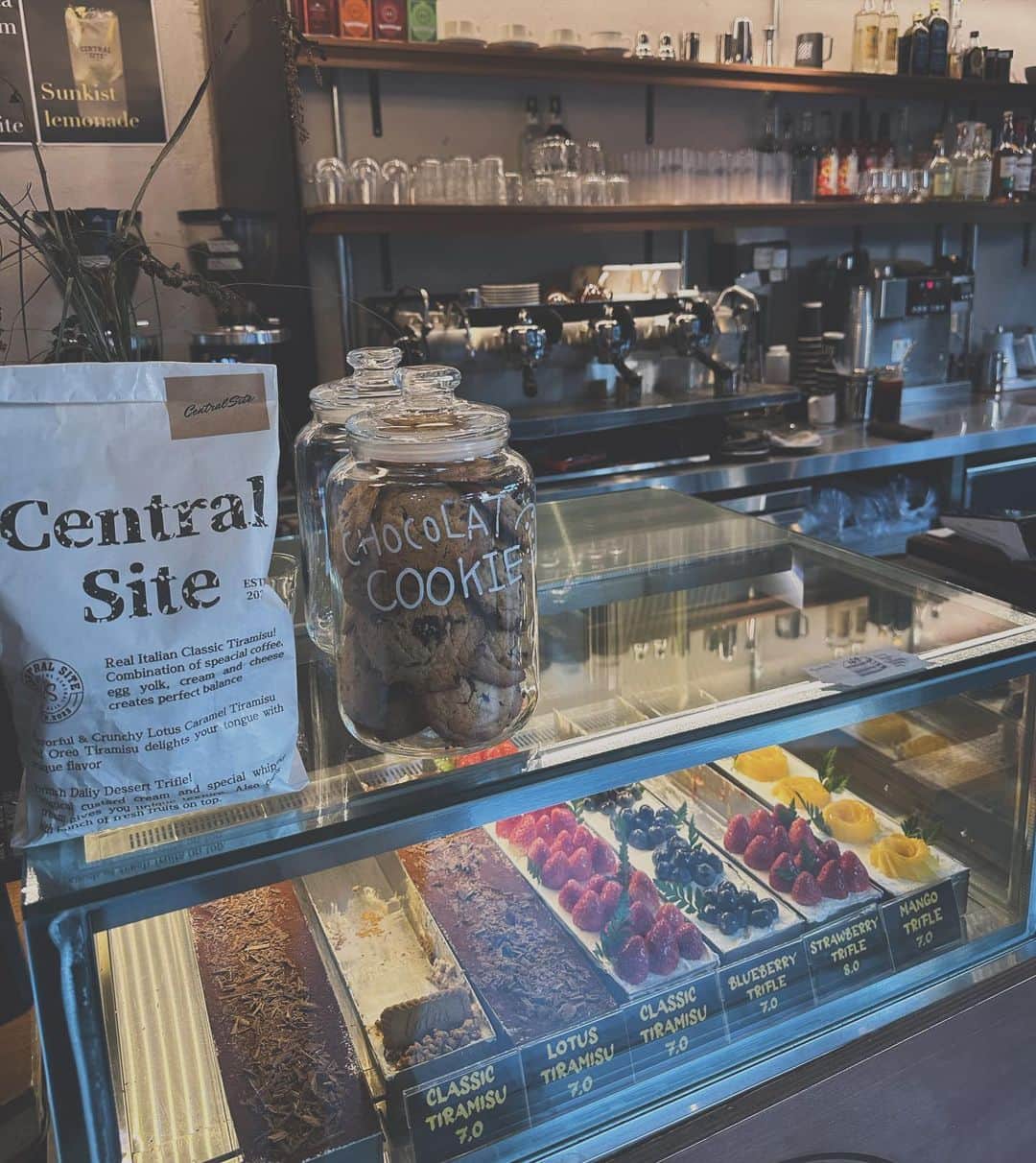 青葉ひなりさんのインスタグラム写真 - (青葉ひなりInstagram)「韓国１泊２日時間ないので深夜にサムギョプサル食べて３時間睡眠で２日目の朝8:30から朝カフェしてきた☕️  ケーキもオシャレだった  まだ寒すぎなくて空気が気持ちい くらいで朝の散歩よかったなあ💭  #韓国#韓国旅行  #ソウル #ソウル旅行 #ソウルカフェ #弘大カフェ #弘大#朝活カフェ #centralsite」11月23日 21時45分 - hinari_festive