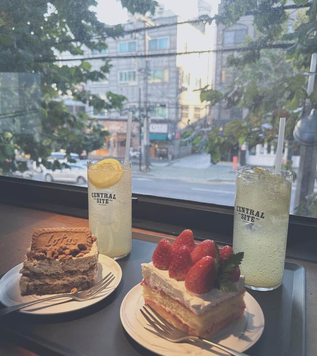 青葉ひなりさんのインスタグラム写真 - (青葉ひなりInstagram)「韓国１泊２日時間ないので深夜にサムギョプサル食べて３時間睡眠で２日目の朝8:30から朝カフェしてきた☕️  ケーキもオシャレだった  まだ寒すぎなくて空気が気持ちい くらいで朝の散歩よかったなあ💭  #韓国#韓国旅行  #ソウル #ソウル旅行 #ソウルカフェ #弘大カフェ #弘大#朝活カフェ #centralsite」11月23日 21時45分 - hinari_festive