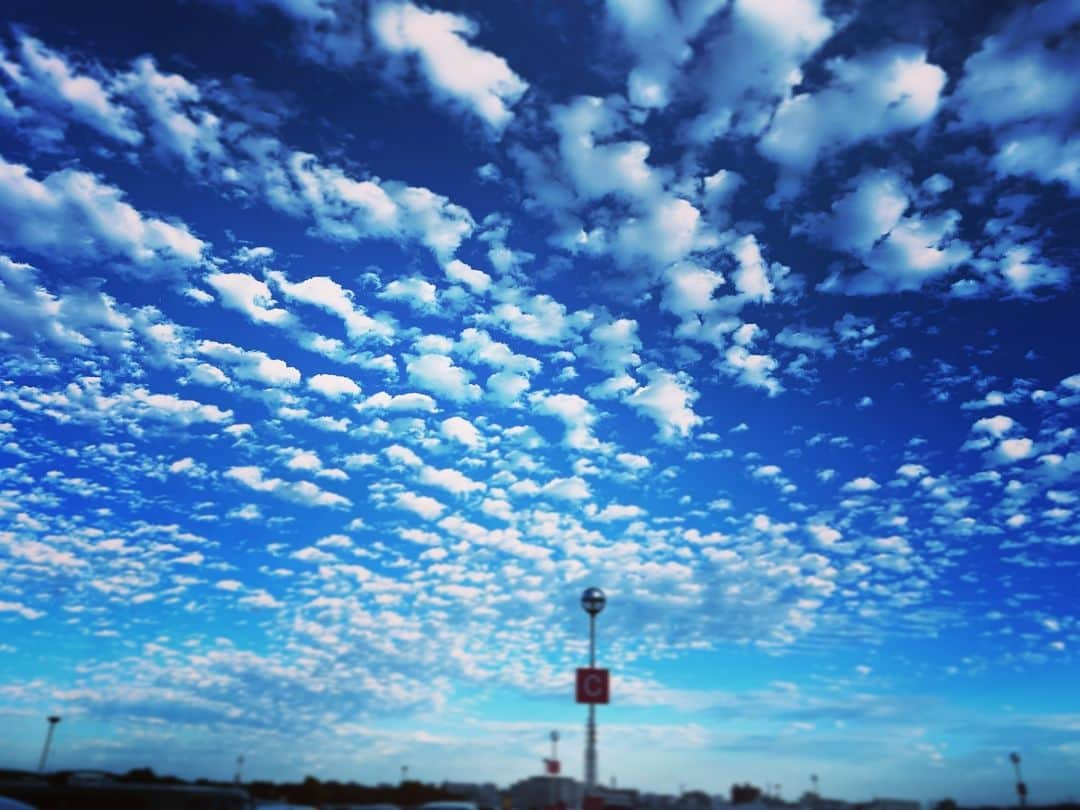 横尾初喜のインスタグラム：「秋空。うろこ雲。 上を向いていきましょう！」