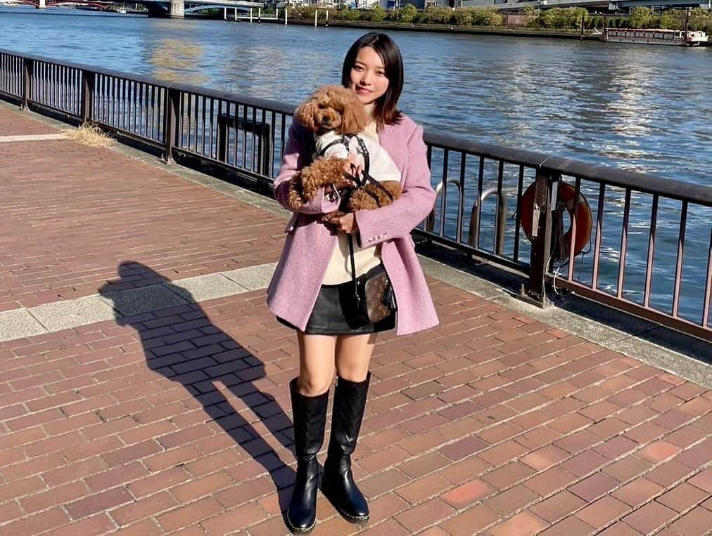 横山キラさんのインスタグラム写真 - (横山キラInstagram)「またまた行ってきました、サラとテラスランチ🐶🍴💕  この日、想像以上に晴れたので2人とも眩しい表情してます笑  寒いと思ってサラはジェラピケニット着てきたのですが、暑そうでした🐶   #テラス席  #テラスカフェ  #テラスランチ  #ワンコとお出かけ  #ワンちゃんok  #ワンちゃん同伴ok  #蔵前ランチ  #蔵前グルメ  #蔵前さんぽ  #テラス席ペットok  #テラス席ワンコok」11月23日 22時08分 - kira_yokoyama_