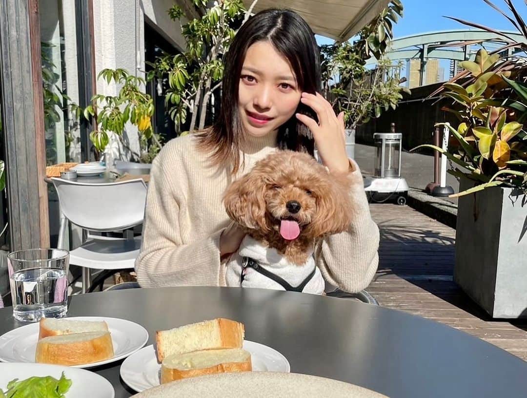 横山キラさんのインスタグラム写真 - (横山キラInstagram)「またまた行ってきました、サラとテラスランチ🐶🍴💕  この日、想像以上に晴れたので2人とも眩しい表情してます笑  寒いと思ってサラはジェラピケニット着てきたのですが、暑そうでした🐶   #テラス席  #テラスカフェ  #テラスランチ  #ワンコとお出かけ  #ワンちゃんok  #ワンちゃん同伴ok  #蔵前ランチ  #蔵前グルメ  #蔵前さんぽ  #テラス席ペットok  #テラス席ワンコok」11月23日 22時08分 - kira_yokoyama_