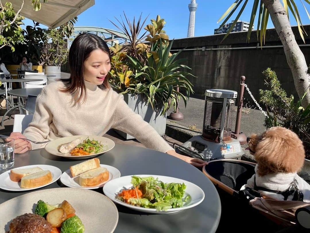 横山キラのインスタグラム：「またまた行ってきました、サラとテラスランチ🐶🍴💕  この日、想像以上に晴れたので2人とも眩しい表情してます笑  寒いと思ってサラはジェラピケニット着てきたのですが、暑そうでした🐶   #テラス席  #テラスカフェ  #テラスランチ  #ワンコとお出かけ  #ワンちゃんok  #ワンちゃん同伴ok  #蔵前ランチ  #蔵前グルメ  #蔵前さんぽ  #テラス席ペットok  #テラス席ワンコok」