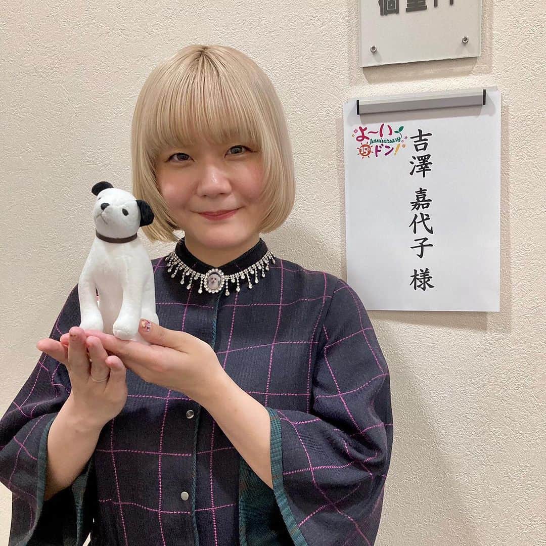 吉澤嘉代子のインスタグラム：「関西テレビ「よ〜いドン！」に生出演させていただきました。朝のお茶の間に「氷菓子」をお届けしたよ。ギターを弾いてくれたのは金髪になった伏見蛍さん。二人して金髪。  収録が終わった後によ〜いドン！スタッフの皆さんと記念撮影してもらったのが熱かった。あの写真ほしい。」