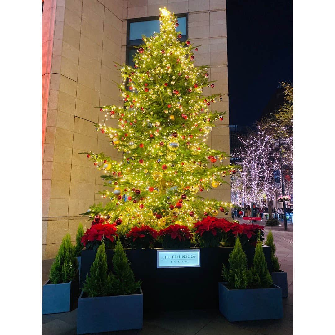 吉野史桜さんのインスタグラム写真 - (吉野史桜Instagram)「今日はみちこさんとおデート🥳  アフターヌーンティー初めて行った〜！！ うわー！  日頃の感謝ってことで、 まさかのみちこさんの奢り😂謎！！  そんな働きした覚えはないが、ありがたくいただいた　笑笑  オシャレ、可愛い、美味しい、景色いー！🤤💕  その後はプラネタリウムへ🌌  プレミアムシートでアロマの良い香りと星空に癒され、 なんならちょっと泣いた🥺笑  クリスマスツリーにも出会い、  なんだか今年もう終わった感じがしている今である😂😂  贅沢な1日だったな〜💫  #アフターヌーンティー #themoon #六本木 #六本木ヒルズ #プラネタリウム #コニカミノルタプラネタリアtokyo #有楽町 #クリスマスツリー #イルミネーション #銀座 #ありがとう」11月23日 22時30分 - shionyoshino