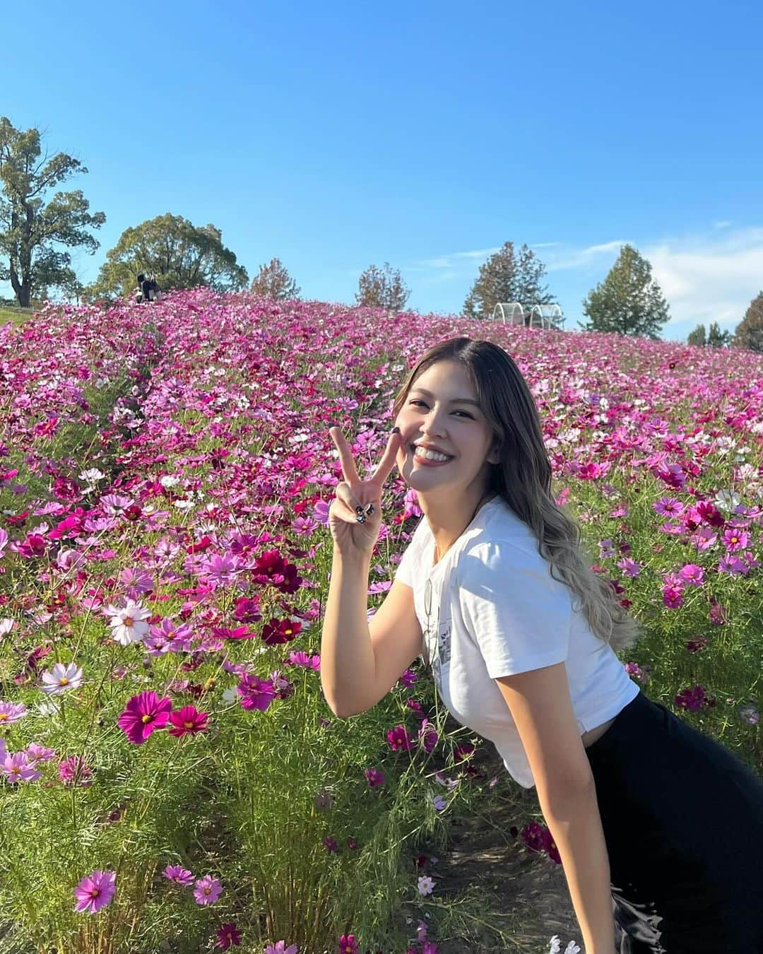 吉岡久美子さんのインスタグラム写真 - (吉岡久美子Instagram)「、 秋の桜でコスモス(秋桜)🌸💐  お花って本当に元気もらえる☺️  暑くて半袖😂😂😂✨ 、 、 、 #つぼみ大革命 #つぼみ #吉本 #よしもと #アイドル #idol #大阪 #東京 #神戸 #ライブ #instagood #いいね #フォローミー #コスモス #コスモス畑」11月23日 22時47分 - kuunyaaan