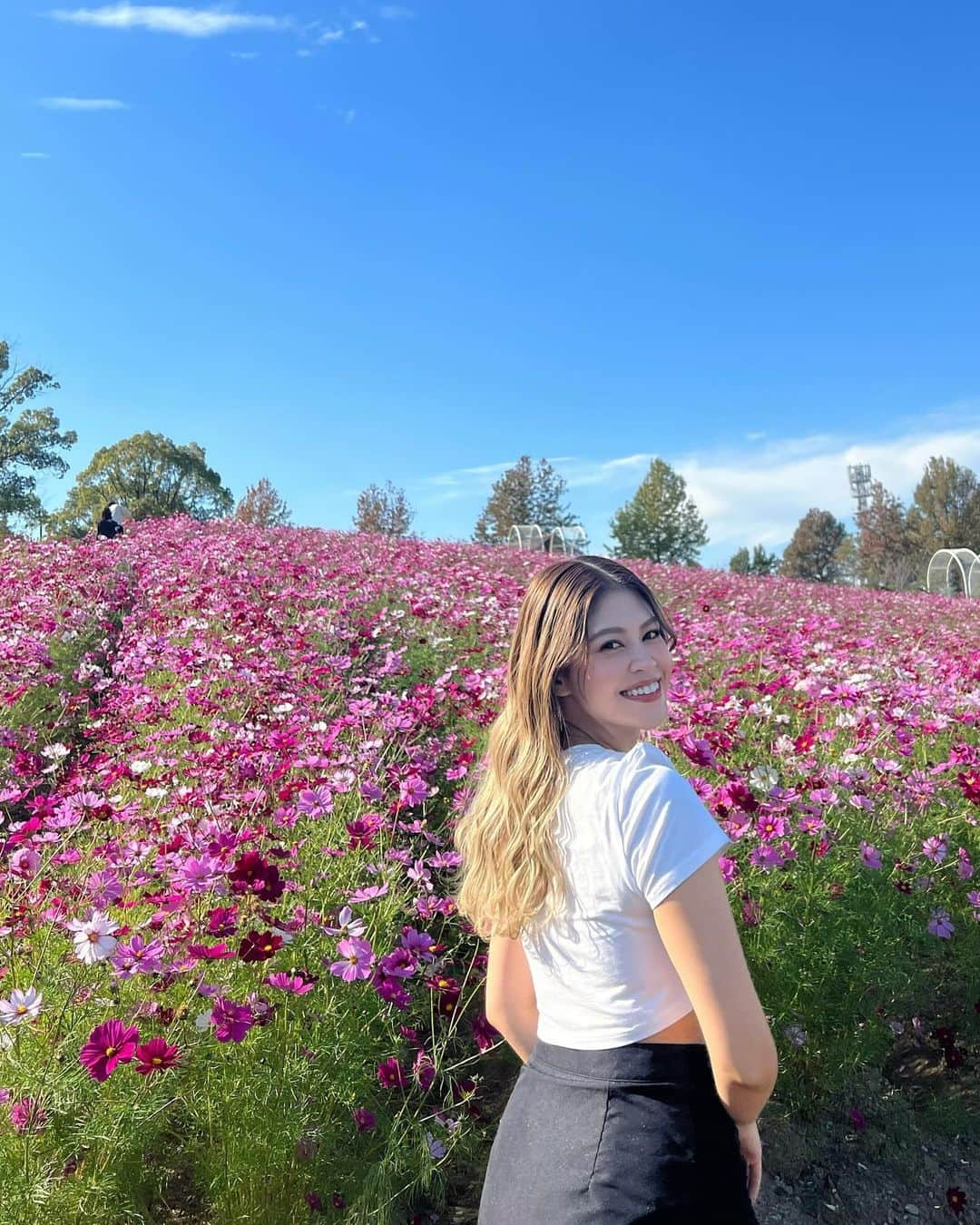 吉岡久美子のインスタグラム：「、 秋の桜でコスモス(秋桜)🌸💐  お花って本当に元気もらえる☺️  暑くて半袖😂😂😂✨ 、 、 、 #つぼみ大革命 #つぼみ #吉本 #よしもと #アイドル #idol #大阪 #東京 #神戸 #ライブ #instagood #いいね #フォローミー #コスモス #コスモス畑」