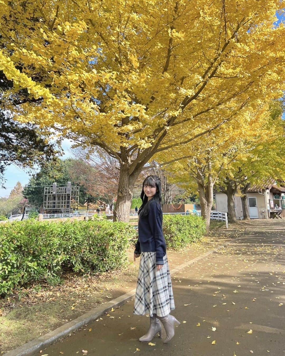 阿部夢梨さんのインスタグラム写真 - (阿部夢梨Instagram)「素敵な思い出🚌💛🌼」11月23日 22時58分 - yumeri_abe.official