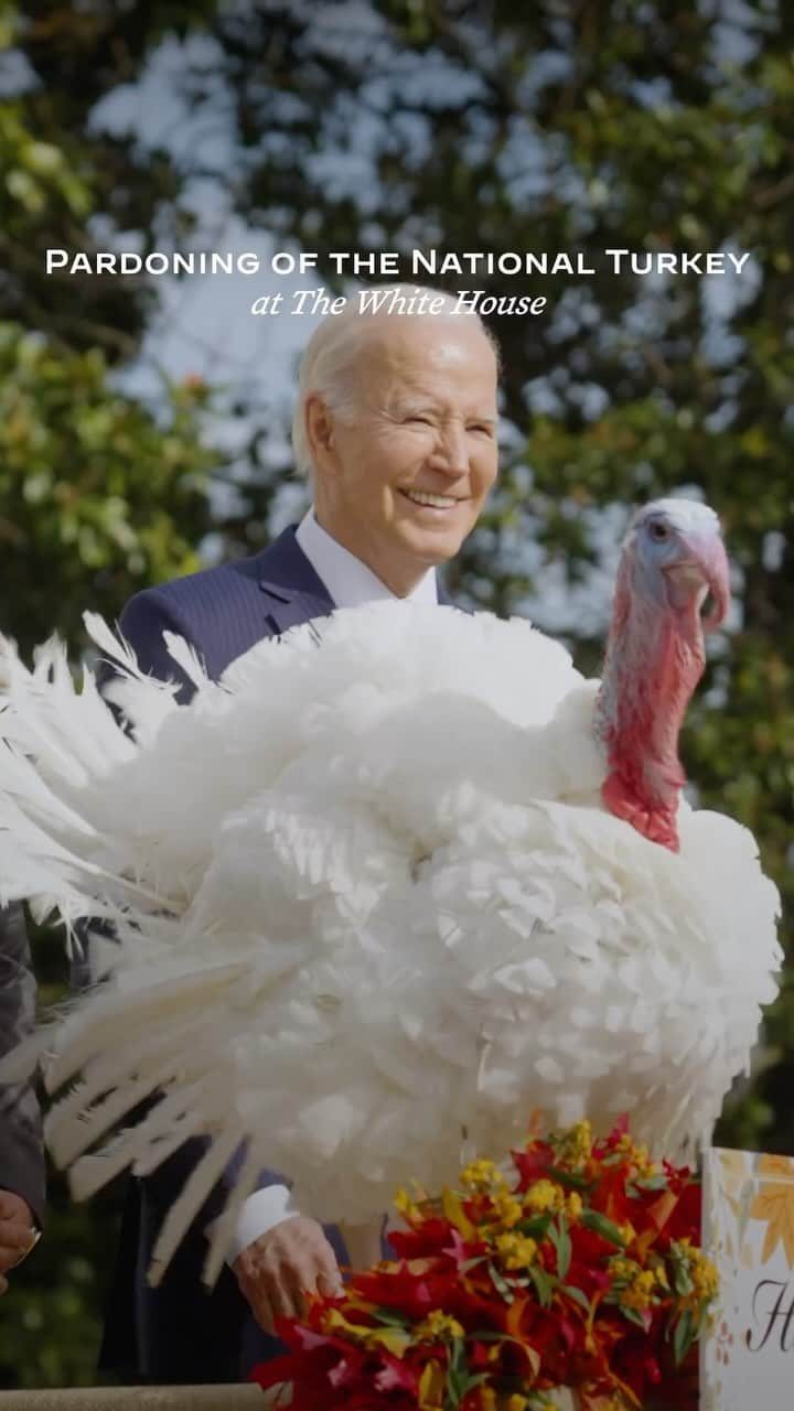 The White Houseのインスタグラム：「Liberty and Bell were excellent guests this week at the White House for the 76th National Thanksgiving Turkey Pardoning.」