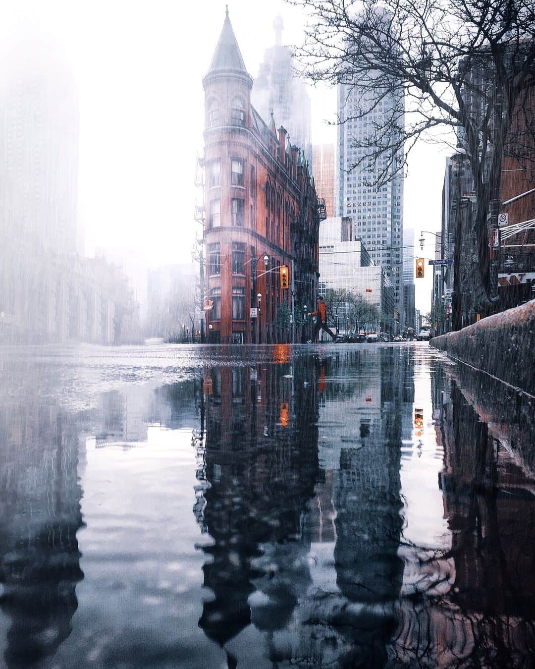 kaelのインスタグラム：「A wind has blown the rain away and blown the sky away and all the leaves away, and the trees stand. I think, I too, have known autumn too long. - E. E. Cummings」