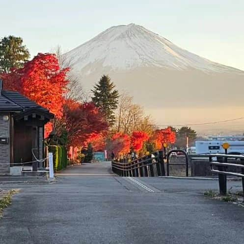 綾小路きみまろさんのインスタグラム写真 - (綾小路きみまろInstagram)「こんにちは。 綾小路きみまろです。  今日の日の入り頃の富士山🗻(1～5枚目) 早朝の富士山🗻(6～9枚目) まだまだ 紅葉🍁が綺麗です✨ 今週末なら間に合います😊 紅葉見物に河口湖にいらしてくださいね🎵  最後の1枚は 干し柿作り！ おいしくなぁ～れ💕  #綾小路きみまろ #富士山 #河口湖 #干し柿  #干し柿作り」11月23日 23時09分 - ayanokojikimimaro_official