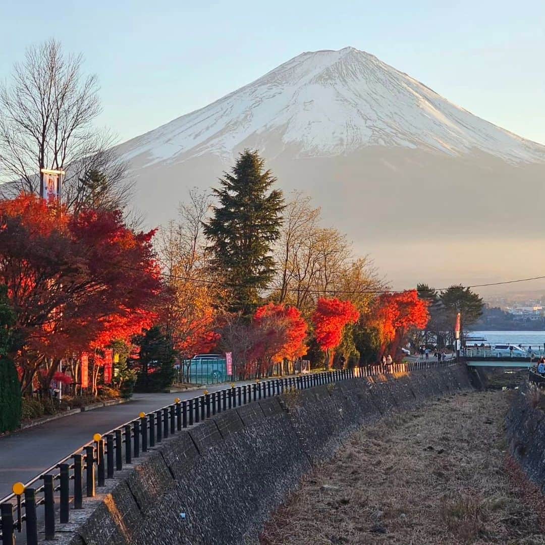 綾小路きみまろさんのインスタグラム写真 - (綾小路きみまろInstagram)「こんにちは。 綾小路きみまろです。  今日の日の入り頃の富士山🗻(1～5枚目) 早朝の富士山🗻(6～9枚目) まだまだ 紅葉🍁が綺麗です✨ 今週末なら間に合います😊 紅葉見物に河口湖にいらしてくださいね🎵  最後の1枚は 干し柿作り！ おいしくなぁ～れ💕  #綾小路きみまろ #富士山 #河口湖 #干し柿  #干し柿作り」11月23日 23時09分 - ayanokojikimimaro_official