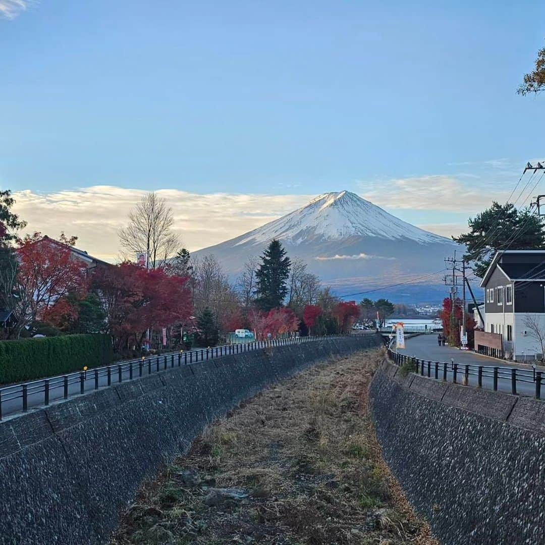 綾小路きみまろさんのインスタグラム写真 - (綾小路きみまろInstagram)「こんにちは。 綾小路きみまろです。  今日の日の入り頃の富士山🗻(1～5枚目) 早朝の富士山🗻(6～9枚目) まだまだ 紅葉🍁が綺麗です✨ 今週末なら間に合います😊 紅葉見物に河口湖にいらしてくださいね🎵  最後の1枚は 干し柿作り！ おいしくなぁ～れ💕  #綾小路きみまろ #富士山 #河口湖 #干し柿  #干し柿作り」11月23日 23時09分 - ayanokojikimimaro_official