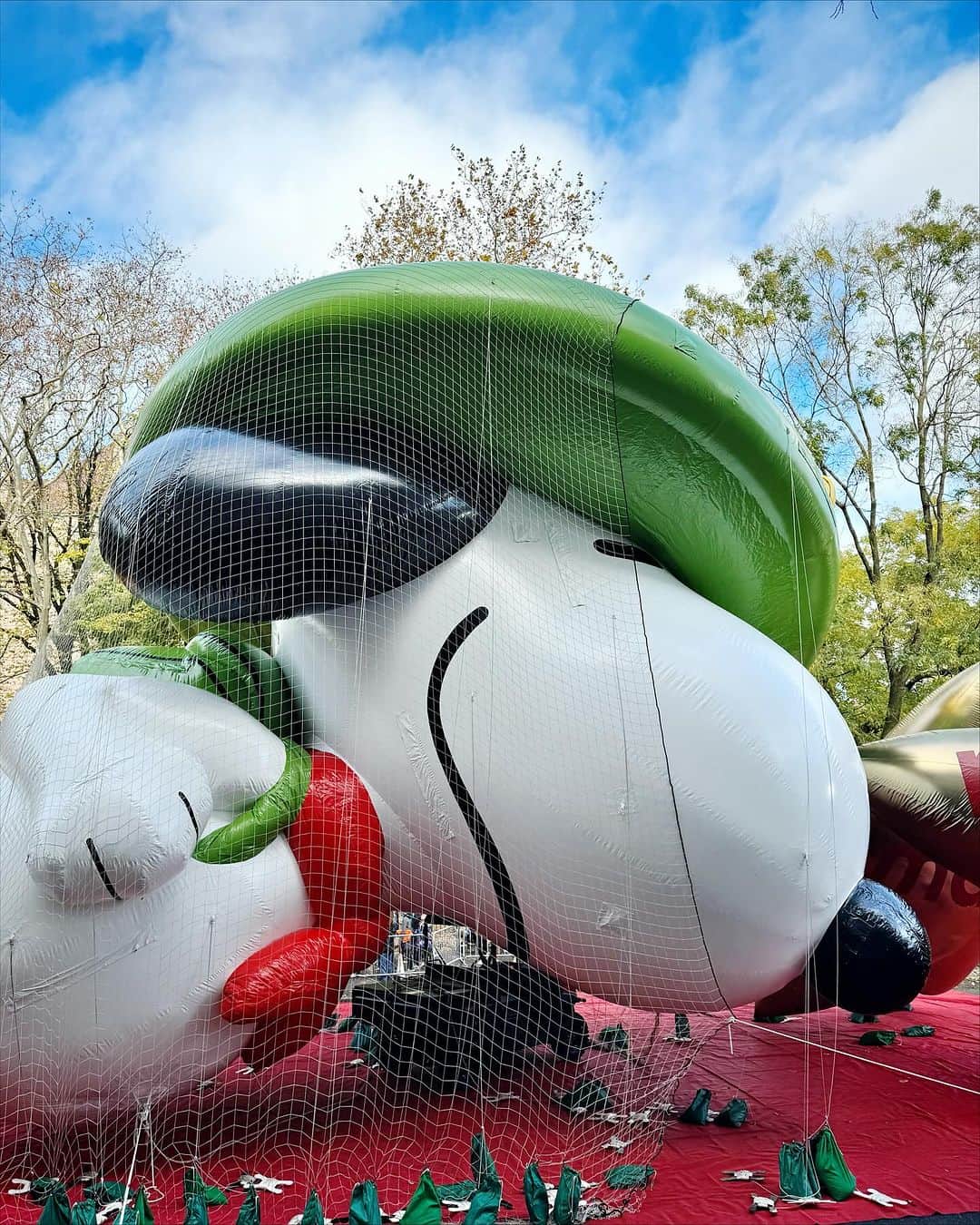 Ilana Wilesのインスタグラム：「After living in New York my whole life, I finally went to see the Thanksgiving Day Parade balloon inflation! Most fun part was all the fun facts Harlow would pull out of nowhere. Like that Snoopy debuted in 1968 (she loves dates) and has made more appearances in the parade than any other balloon. I looked it up. She’s right. It’s been in the parade 42 times and has had nine different versions. This year’s is new! We also loved guessing the deflated balloons. I think we got Lyle Lyle the Crocodile wrong, but Soongebob and Bluey were right! A huge thanks to the NY Historical Society for inviting us to this special viewing, available to all members! @nyhistory」
