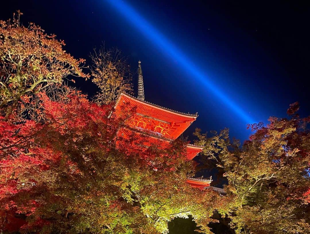 岡安弥生さんのインスタグラム写真 - (岡安弥生Instagram)「幻想的だった…😍✨ 週末もっと美しく色づきますね🍁 #清水寺#ライトアップ#紅葉#京都#羽鳥慎一モーニングショー #リポート#kyoto」11月23日 23時44分 - yayoin3