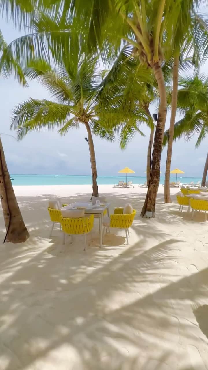 Maldivesのインスタグラム：「Niyama Private Island, Maldives   Connect with us @nichegetaways for Maldives holiday bookings and inquiries.   Video @asso_maldives   #beach #beachescape #islandvibes #beachlife #wanderlust #travelinspiration #oceanviews #paradisefound #travelgoals #omaldives #nichegetaways #vacationmode #beachbliss #exploretheworld #bucketlistdestination #palmtrees #beachvacation #visitmaldives #luxuryresort」