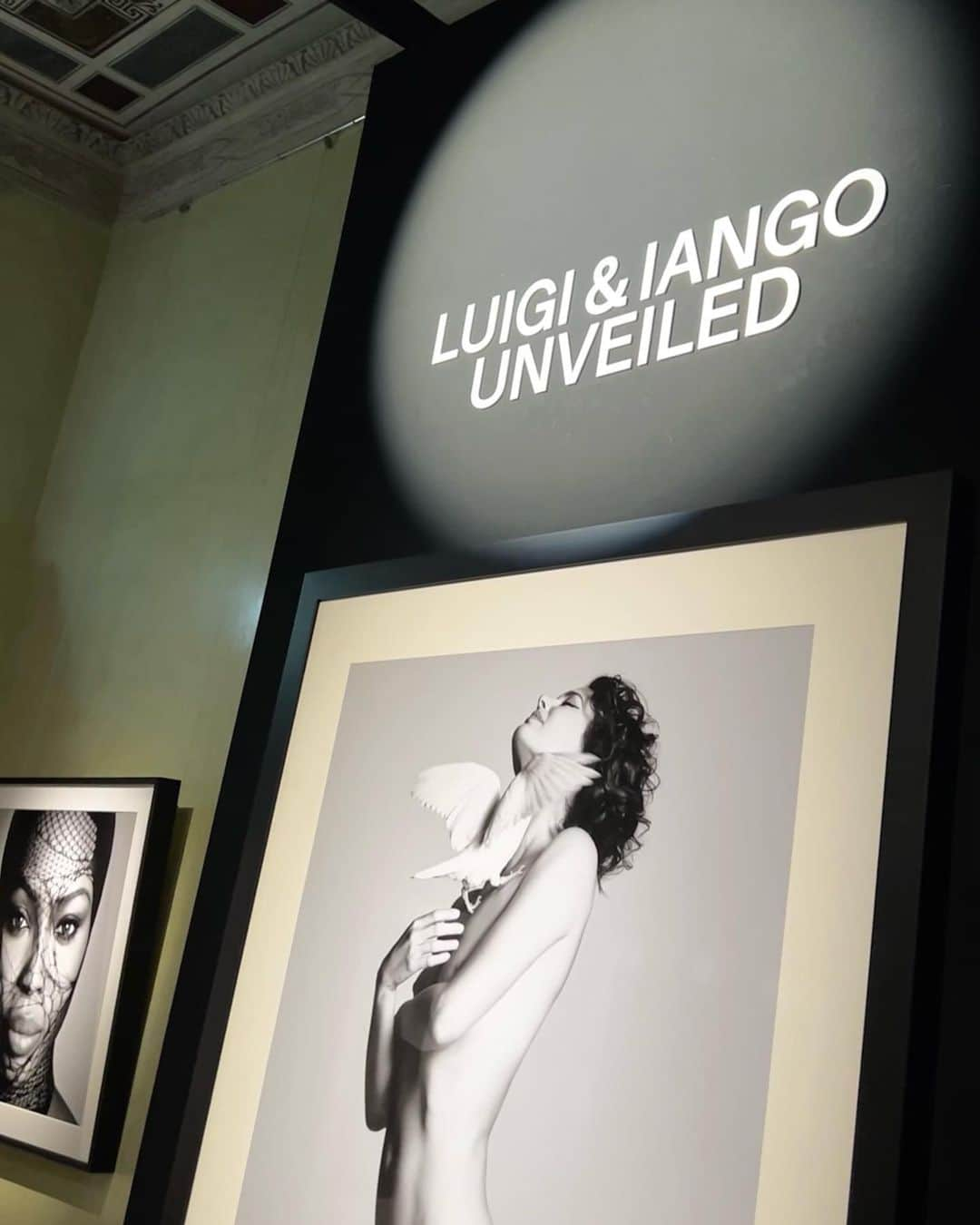 ルイージ&イアンゴさんのインスタグラム写真 - (ルイージ&イアンゴInstagram)「While many photographers focus on the fleeting aesthetics of an instant, Luigi and Iango go further, seeking to transcend the boundaries of a specific genre. “Unveiled” goes beyond the mere collection of images; it is a timeless journey in search of multi-sensorial beauty and artistic expression.  The exhibition is not limited to visual perception, but is an engaging experience that embraces all the senses. The enveloping aromas, delicate light and carefully selected sounds immediately capture attention, blending in harmony with the art itself. The result is an unprecedented experience that offers a deep immersion in the many aspects of beauty. ________________________  Mentre molti fotografi si concentrano sull’estetica fugace di un istante, Luigi e Iango si spingono oltre, cercando di oltrepassare i confini di un genere specifico. “Unveiled” va oltre la mera raccolta di immagini; è un viaggio senza tempo alla ricerca della bellezza plurisensoriale e dell’espressione artistica.  La mostra non si limita alla percezione visiva, ma è un’esperienza coinvolgente che abbraccia tutti i sensi. Gli aromi avvolgenti, la luce delicata e i suoni accuratamente selezionati catturano immediatamente l’attenzione, fondendosi in armonia con l’arte stessa. Il risultato è un’esperienza senza precedenti che offre una profonda immersione nei molteplici aspetti della bellezza.  LUIGI&IANGO Unveiled 🗓Fino al 26 novembre 📍Palazzo Reale, Milano 🎟Ingresso gratuito   #mostraunveiled #luigiandiango #palazzorealemilano    @luigiandiango  @palazzorealemilano  @karlaotto  @2bmanagement  @comunedimilano_cultura」11月24日 0時52分 - luigiandiango