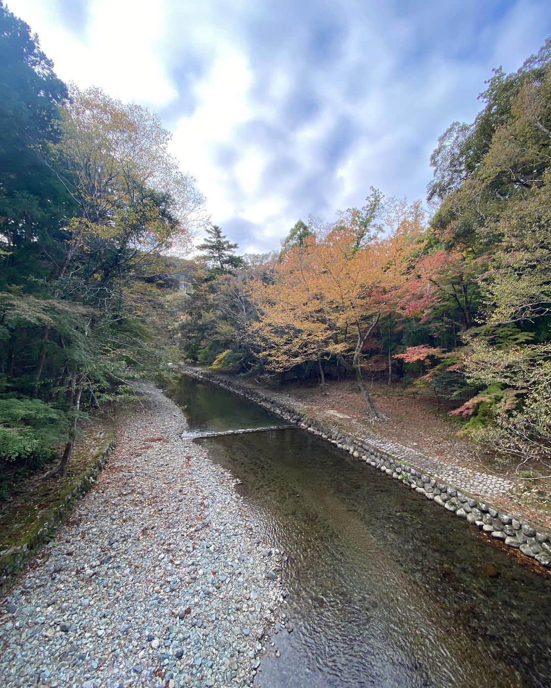 高樹リサさんのインスタグラム写真 - (高樹リサInstagram)「🍁」11月24日 0時57分 - lisalisa_takagi