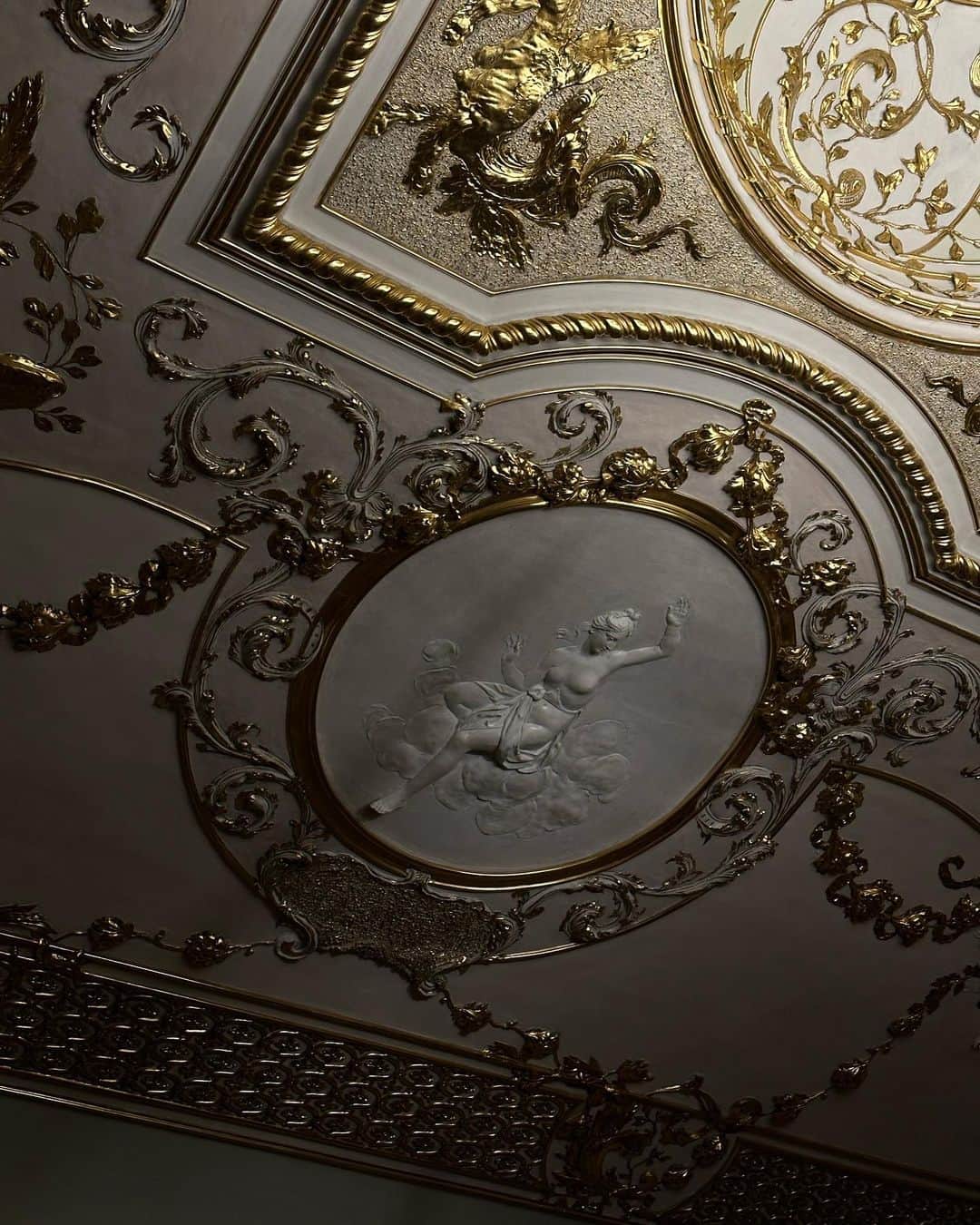 クリスティナ・バザンさんのインスタグラム写真 - (クリスティナ・バザンInstagram)「Spent an incredibly special evening yesterday with @diorbeauty in Vienna at the sumptuous historical Lichtenstein Palace, surrounded by art and history for a private dinner with the house as we had the honor of hearing Frederic Bourdelier, director of culture and heritage at Dior talk about the close connection Christian Dior has always kept with the arts, specifically with ballet. We had the joy of watching a beautiful ballet by the Viennese Opera held in one of the salons while being immersed in such an enchanting environment. Thank you @diorbeauty for having me, it was truly an absolute honor 🖤💫 @dior @paulinebelloin / My evening dress is from my favorite @mrselfportrait 🌙🌚」11月24日 0時58分 - kristinabazan