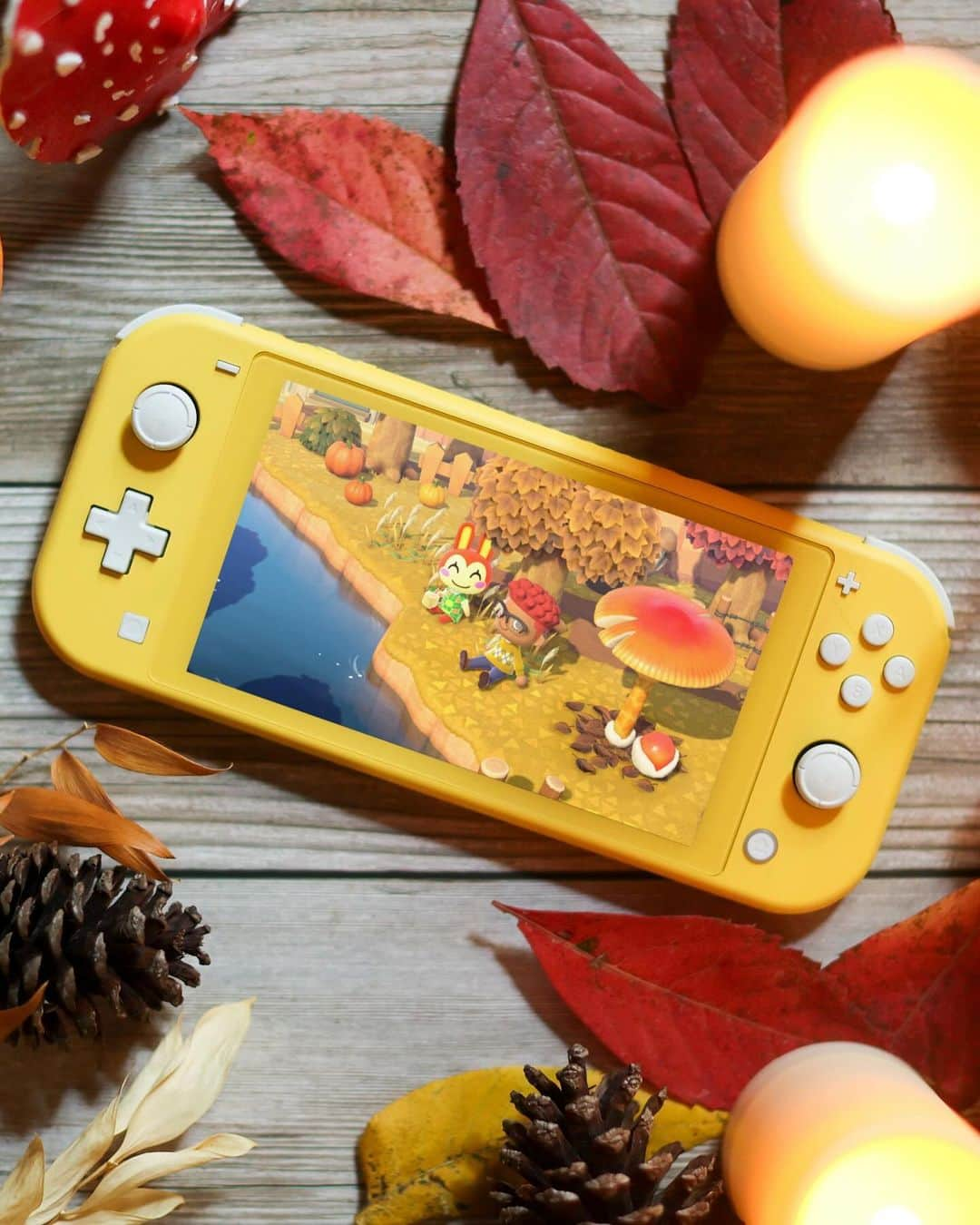 任天堂アメリカさんのインスタグラム写真 - (任天堂アメリカInstagram)「Happy Turkey Day to you and all your favorite residents! 🍂 #NintendoInspired  📸 @captaindangerous」11月24日 1時03分 - nintendoamerica