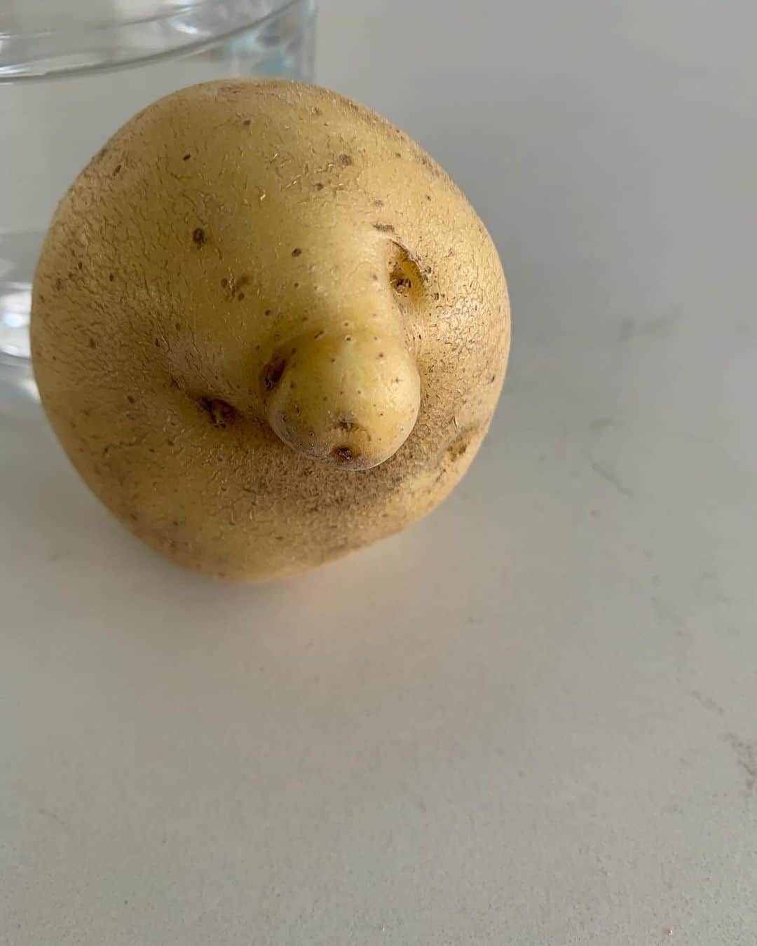 サンドラ・バーンハードのインスタグラム：「Happy thanksgiving from this WC Fields potato」