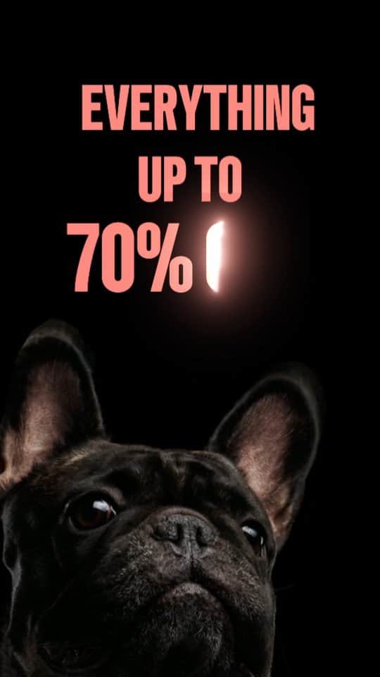 French Bulldogのインスタグラム：「🖤 Black Friday Steals & Deals 🛍️ Everything up to 70% off! Plus, enjoy the luxury of free shipping. Shop now and snag your favorites before they're gone! 🎉  . . . . .  #BlackFridaySale #ShopTillYouDrop #frenchiegram #frenchbulldog #frenchielove #squishyfacecrew #frenchiephotos #fitnessmotivation #dogstagram #franciabulldog #doglife #pug #picoftheday #frenchieworld #doglife #puppy」