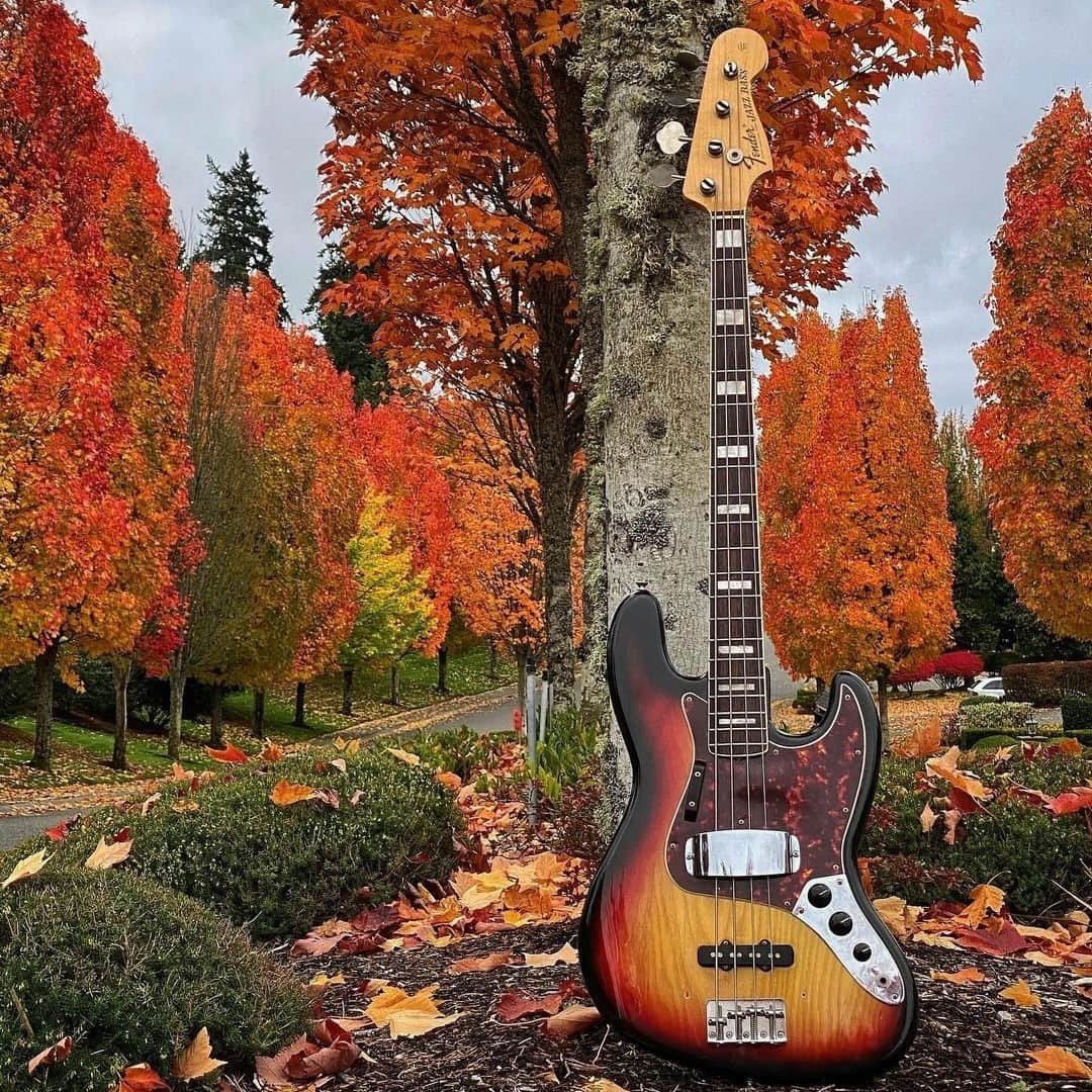 Fender Guitarさんのインスタグラム写真 - (Fender GuitarInstagram)「Happy Thanksgiving! This #FenderFanMail from @marx_bass_adventures is putting us in the holiday spirit. Tell us what you're thankful for below. 🦃 🍁」11月24日 2時03分 - fender