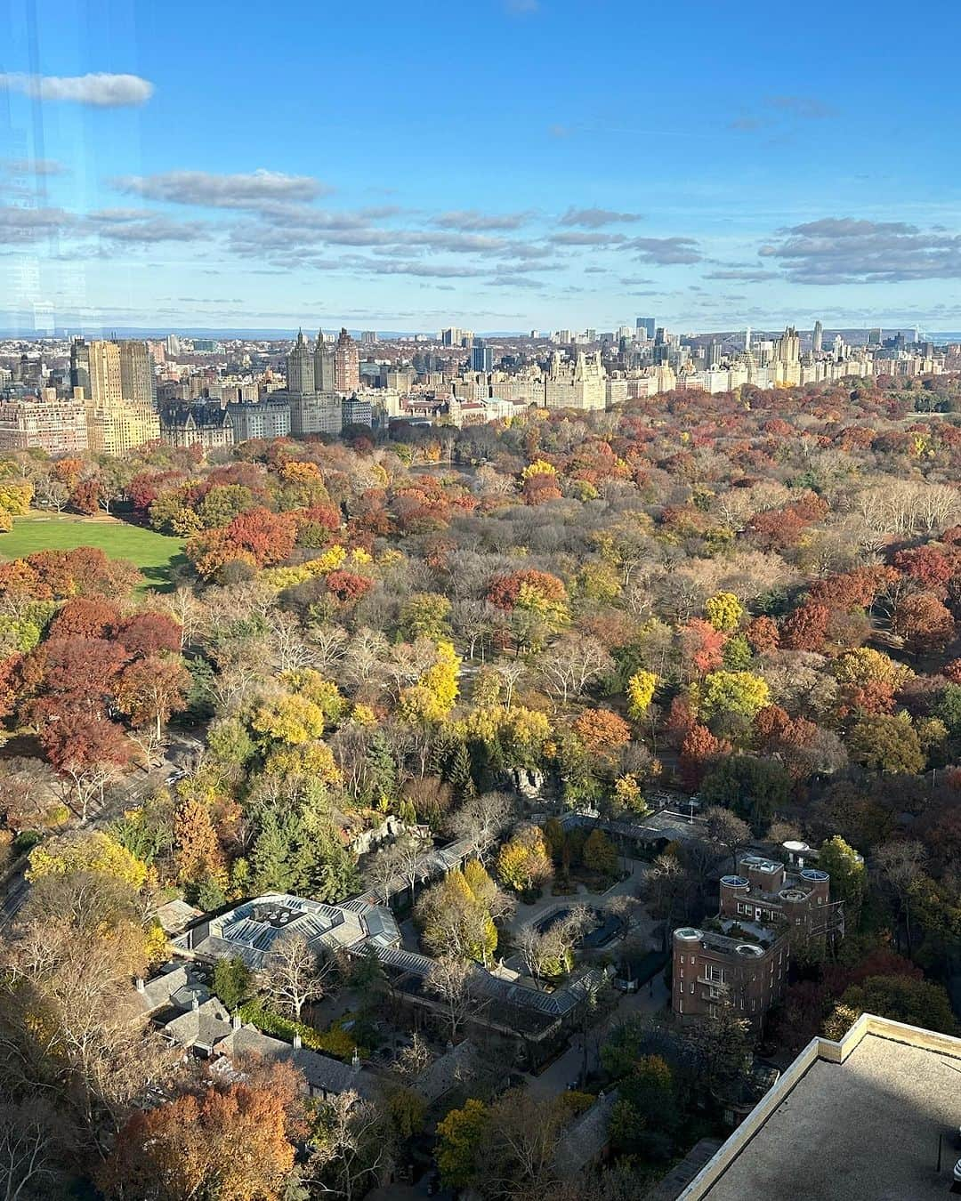 ミンディ・カリングさんのインスタグラム写真 - (ミンディ・カリングInstagram)「Happy Thanksgiving everyone! So grateful for these turkeys! 🥰❤️🦃 Hope you’re having a wonderful day with your family! @thepierreny」11月24日 2時09分 - mindykaling