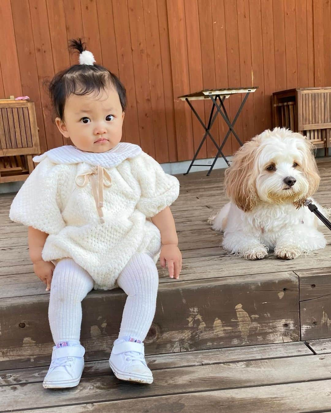 宮原幸恵さんのインスタグラム写真 - (宮原幸恵Instagram)「モフモチ記録🐶👶🏻  このまえ行った グランピングの時の写真だよ🤍  あんちゃん朝露で ビシャビシャボフボフだけど それもまた可愛い。笑  写真見返すと ちょいちょい同じ表情してて シンクロ率の高さに 兄妹みを感じる…😂💕  このまま仲良く育っておくれ🫶  #モフモフとモチモチ」11月9日 17時58分 - yu.ki.0117