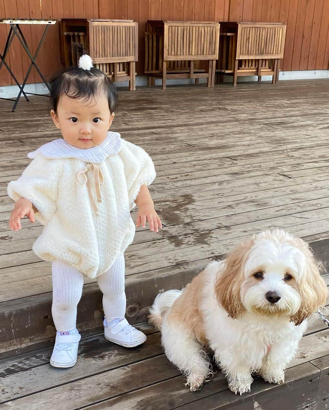 宮原幸恵さんのインスタグラム写真 - (宮原幸恵Instagram)「モフモチ記録🐶👶🏻  このまえ行った グランピングの時の写真だよ🤍  あんちゃん朝露で ビシャビシャボフボフだけど それもまた可愛い。笑  写真見返すと ちょいちょい同じ表情してて シンクロ率の高さに 兄妹みを感じる…😂💕  このまま仲良く育っておくれ🫶  #モフモフとモチモチ」11月9日 17時58分 - yu.ki.0117