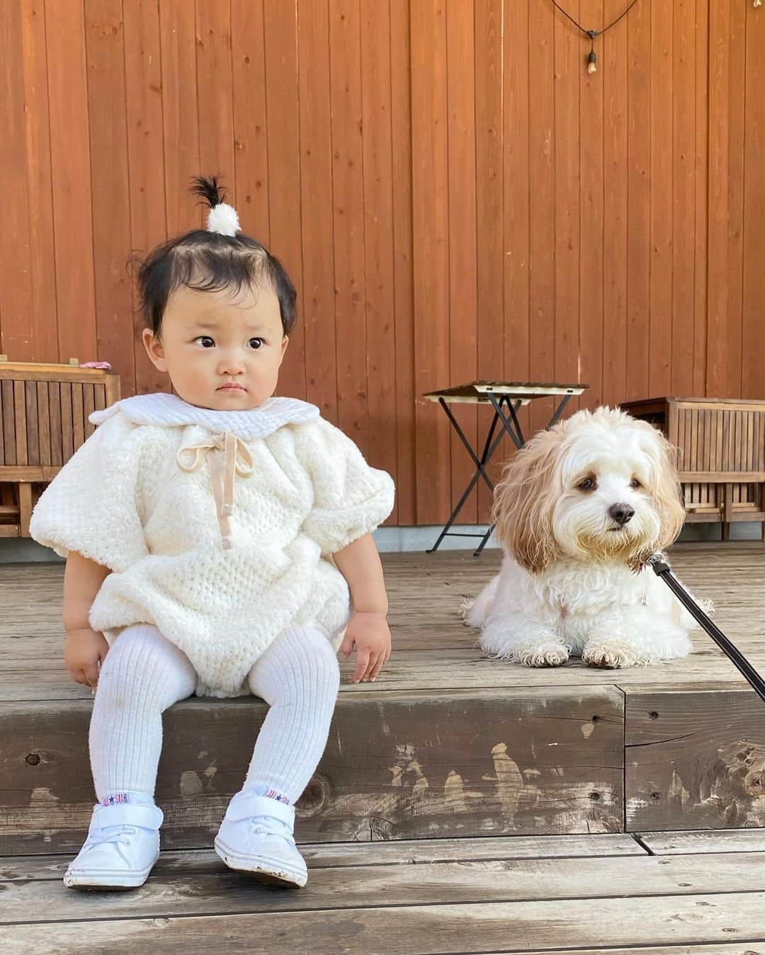 宮原幸恵さんのインスタグラム写真 - (宮原幸恵Instagram)「モフモチ記録🐶👶🏻  このまえ行った グランピングの時の写真だよ🤍  あんちゃん朝露で ビシャビシャボフボフだけど それもまた可愛い。笑  写真見返すと ちょいちょい同じ表情してて シンクロ率の高さに 兄妹みを感じる…😂💕  このまま仲良く育っておくれ🫶  #モフモフとモチモチ」11月9日 17時58分 - yu.ki.0117