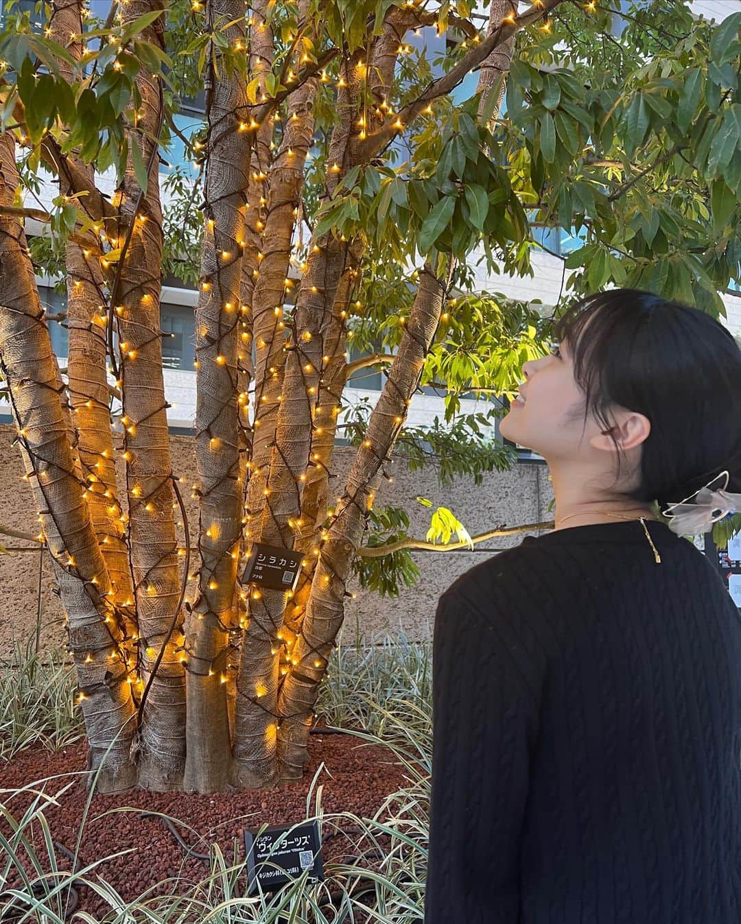 林芽亜里さんのインスタグラム写真 - (林芽亜里Instagram)「🎀 ⁡ お散歩めありはラフです🚶🚶 ⁡ ちなみに髪が長いからヘアクリップだけではふわふわしちゃうので(家の中にいる時はそれでいいんだけど🤭)、下の方で1本結びにしてから縦楕円形みたいな形にしてクリップでまとめています📎 ⁡ ⁡ ⁡ ちょうど写真撮っている時にパッと電気がつきました💡´- ⁡ そろそろイルミネーションの季節~！！♡♡ わくわくするね🪄 ⁡ ⁡ ⁡ #林芽亜里」11月9日 18時12分 - meari__hayashi