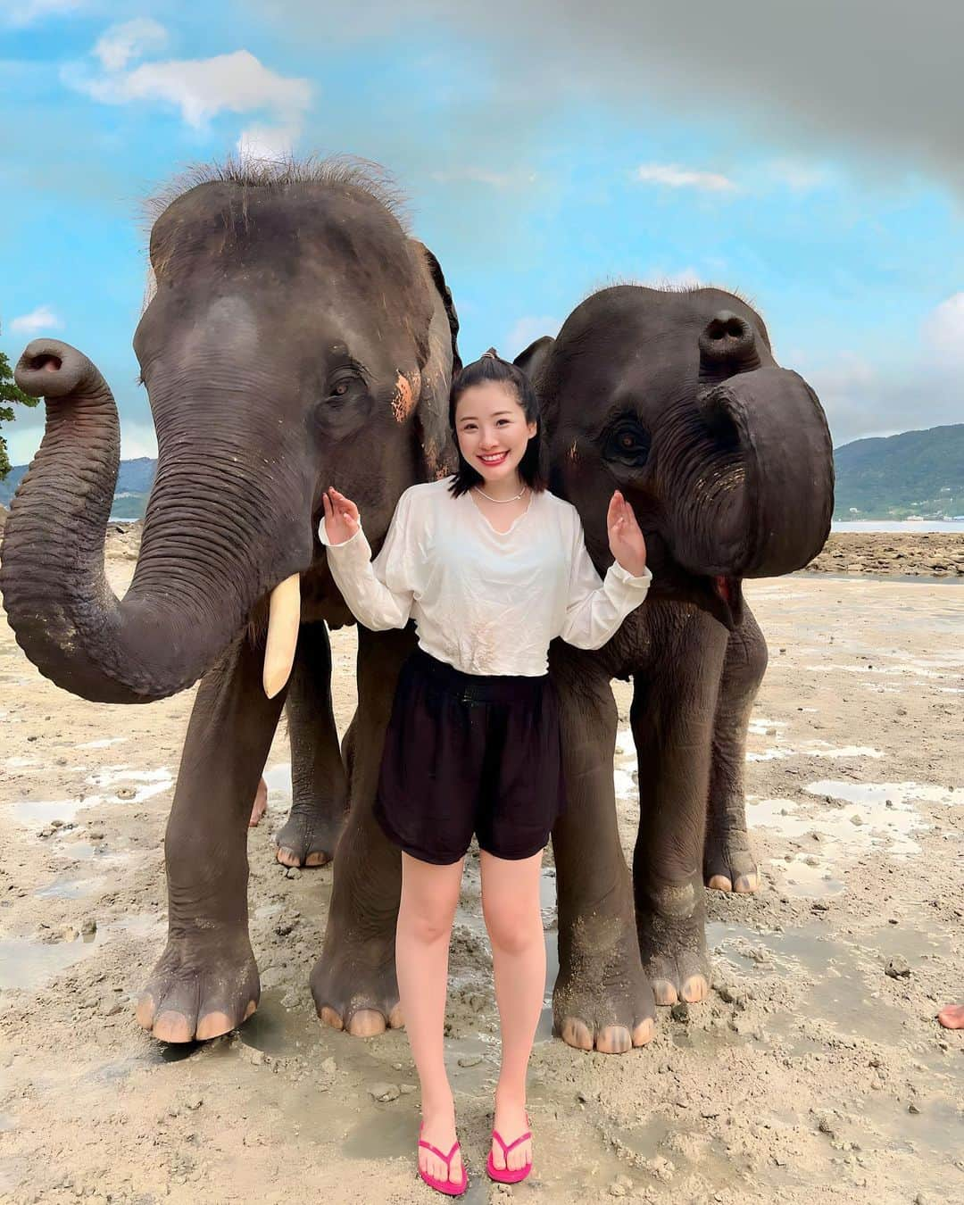 江頭ひなたさんのインスタグラム写真 - (江頭ひなたInstagram)「Elephant cute🐘💕 プーケットでは象さんとも遊びました😆象さんの写真多いから、またUPするかも！写真の整理が追いつかない…  3枚目見て‼️ 象さん自分でちゃんとゴミ袋持って帰ってるの🥺💕 可愛すぎる❤️ 4枚目も見て‼️‼️ 2頭目の象さんがね、1頭目の象さんの尻尾つかんで、並んで歩いてるの🥺💕キュンすぎる🫰  travel with @minami_matsunaka   #キュンです #elephant #phuket #プーケット #ภูเก็ต #thai #thailand #thailandtravel #travel #trip #タイ旅行 #海外旅行 #タイ #エレファントスイム #ラッキービーチ」11月9日 18時23分 - hinataeto